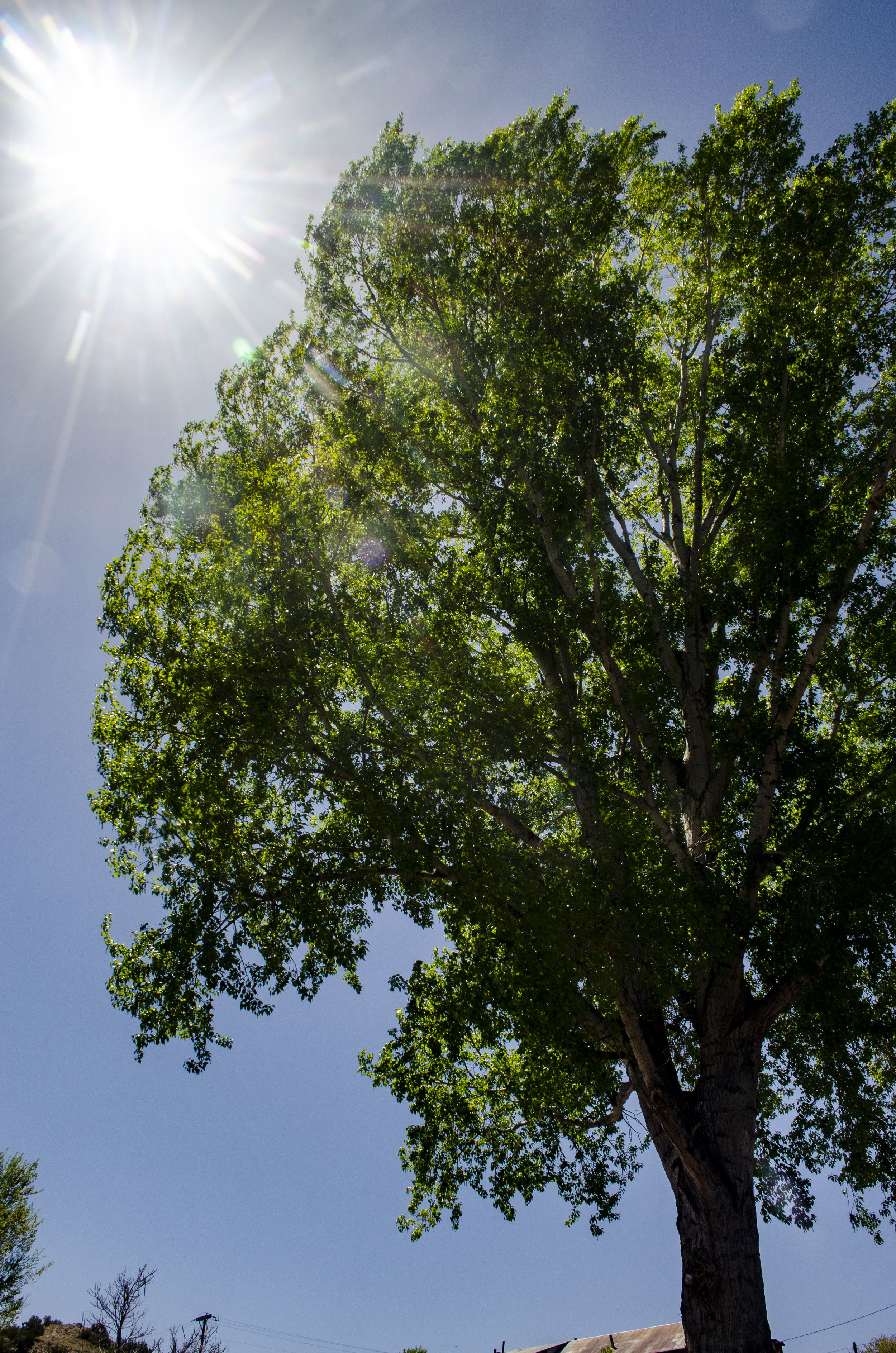 Chimayo PilgrimageDSC_0102.JPG