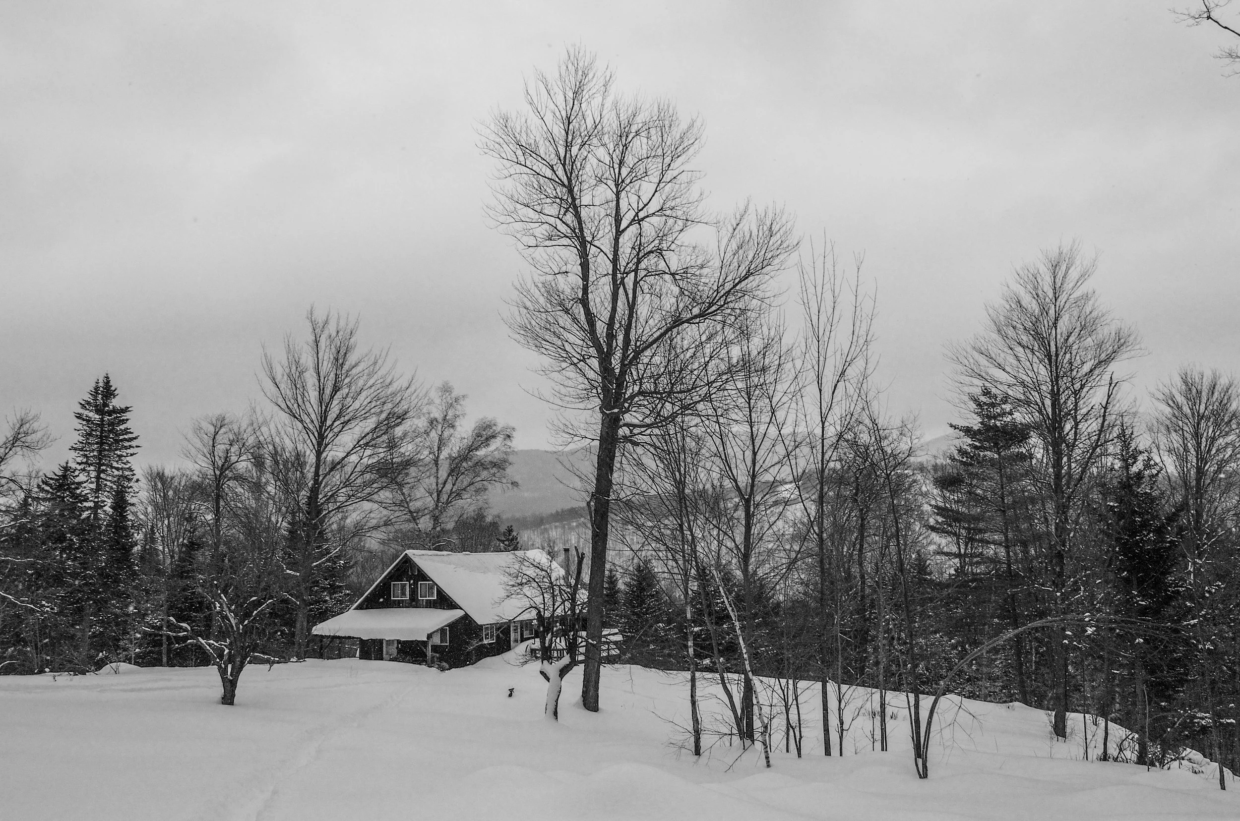 Granville Cabin & LandscapeDSC_0717.JPG