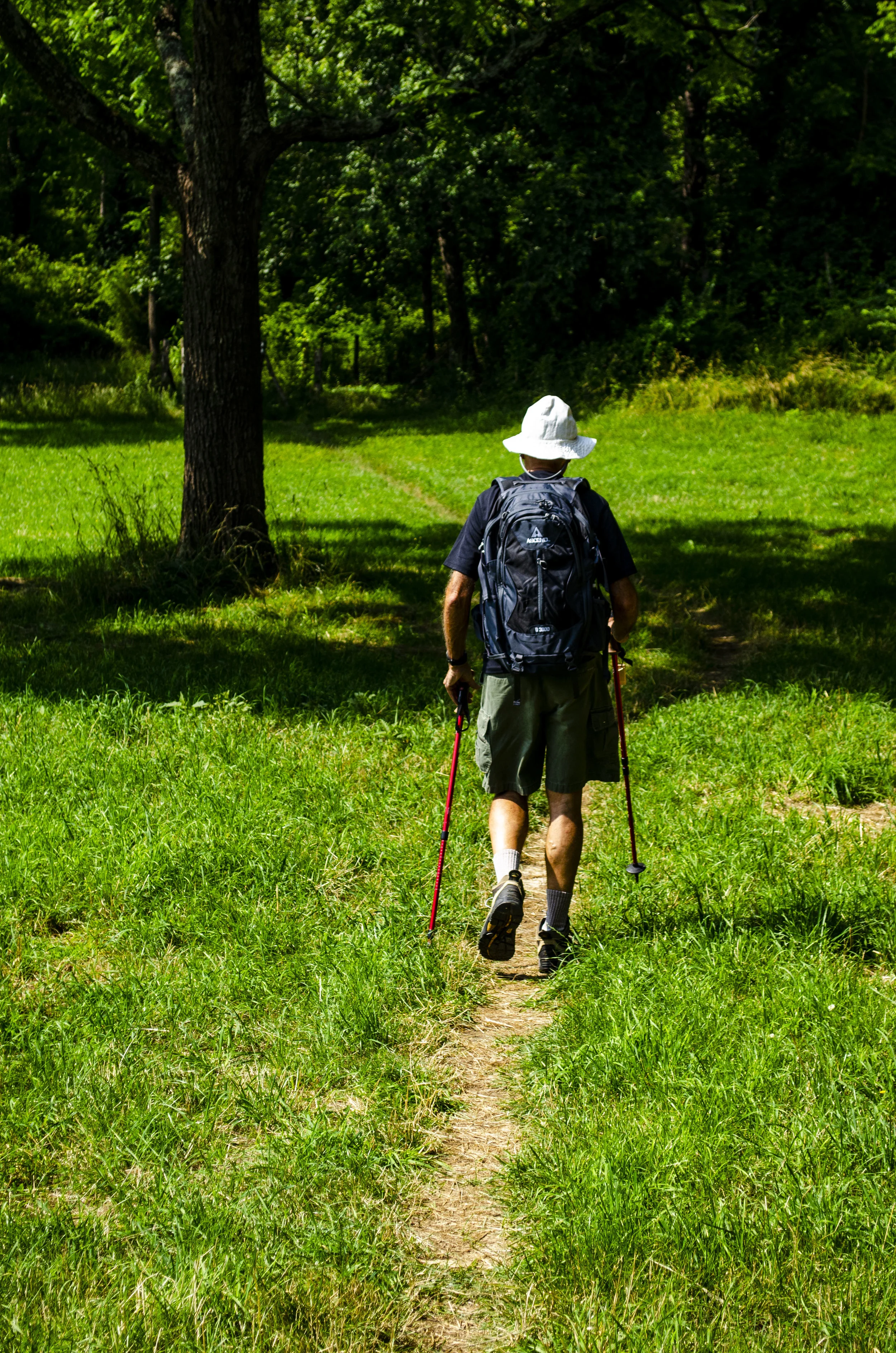 Herb Hiking the MSTDSC_0437.JPG