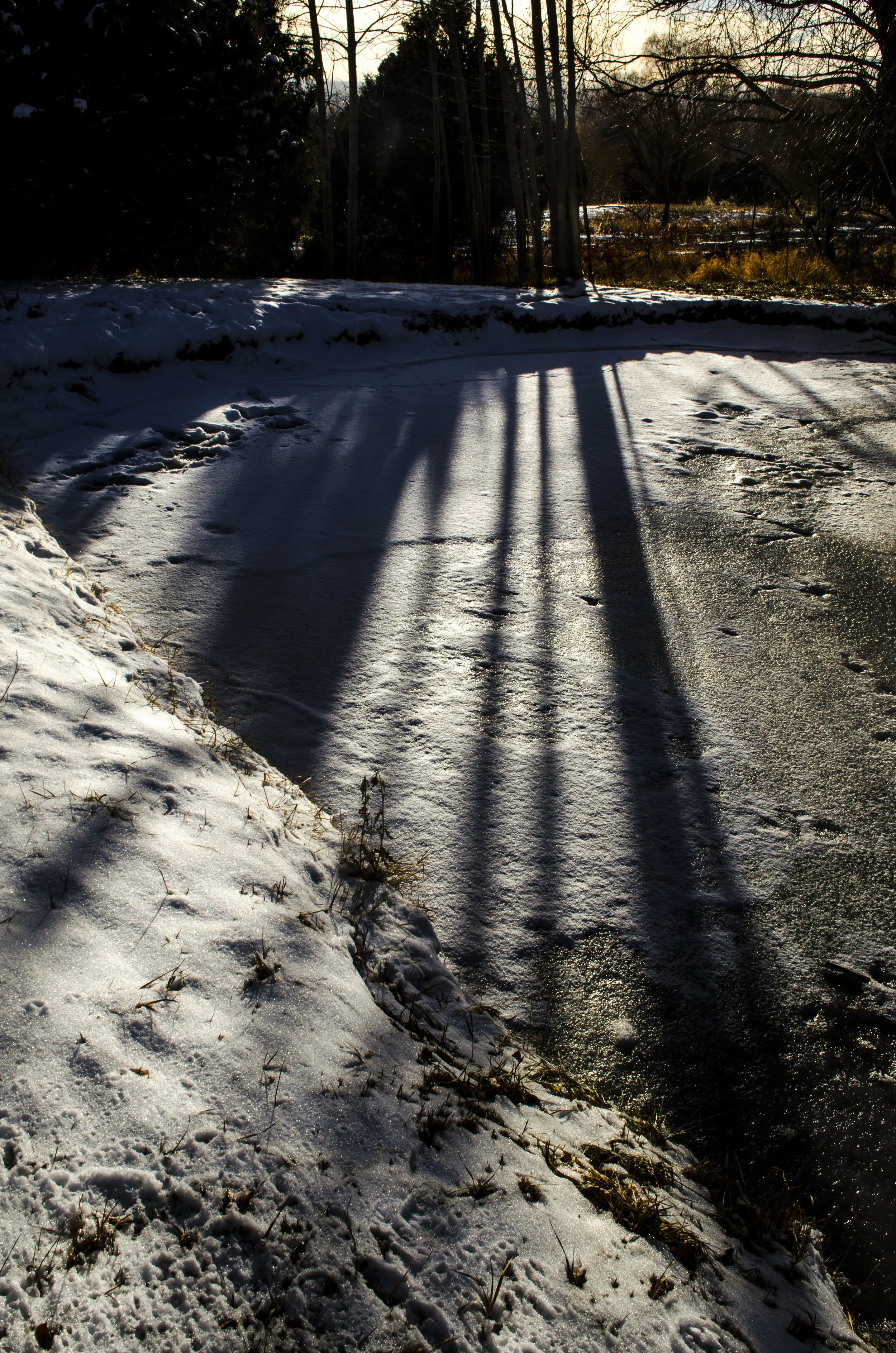 WinterShadowsOnHokojiPond_ElSalto,NM_Dec2017DSC_0730.jpg