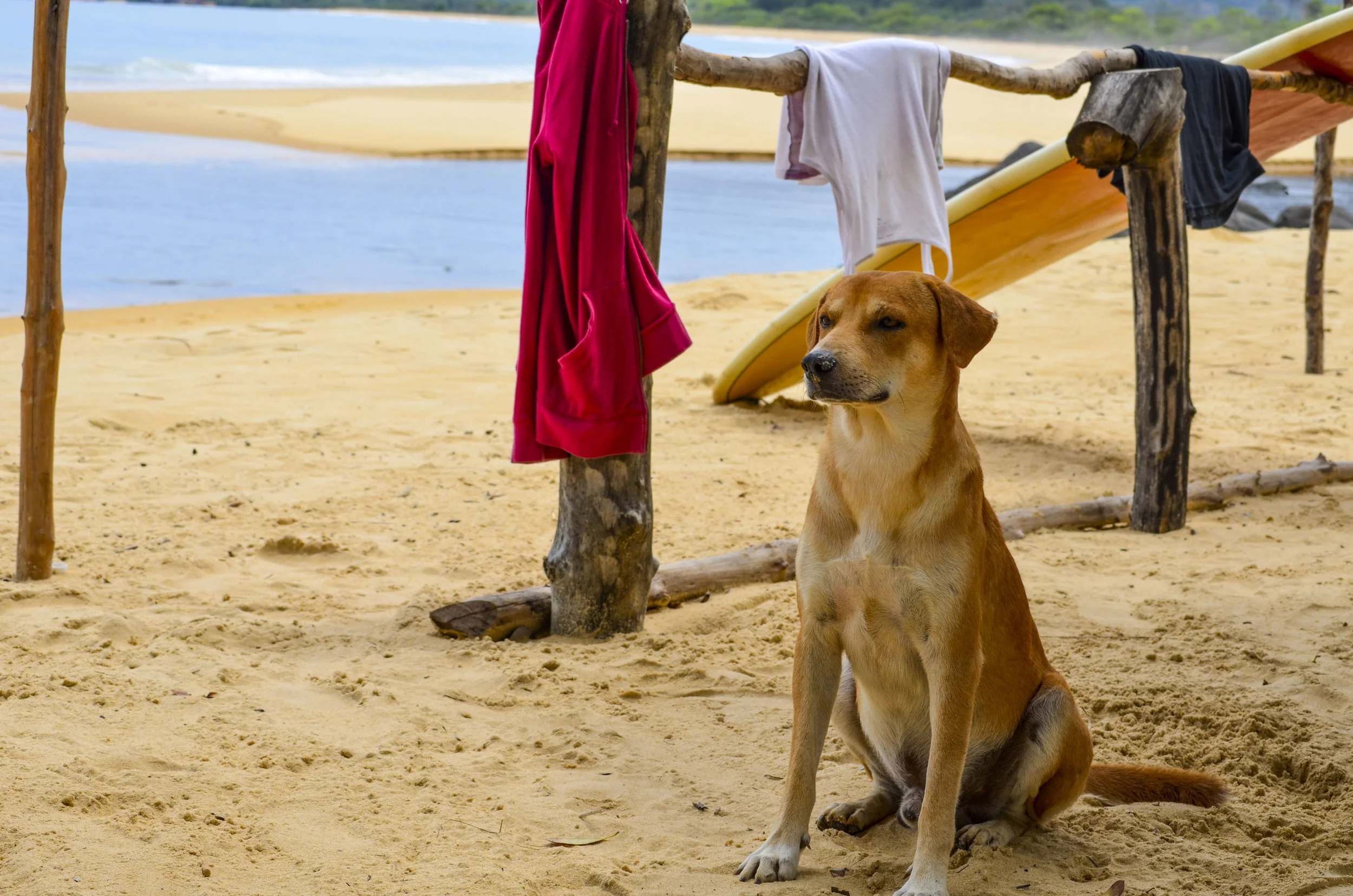 Bureh Surf Community_30.JPG