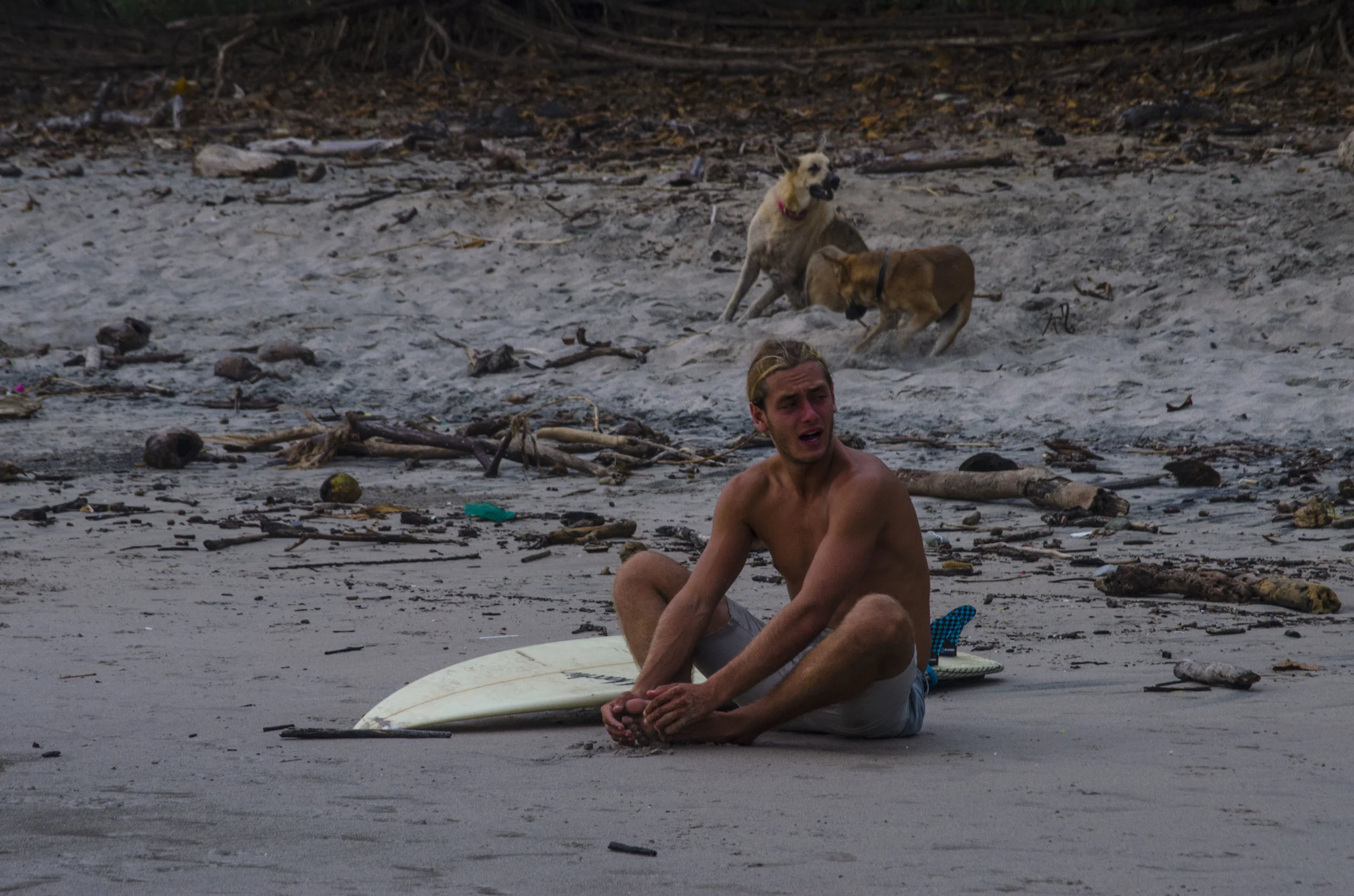 Kael Stretching, Dogs FightingDSC_0631.JPG