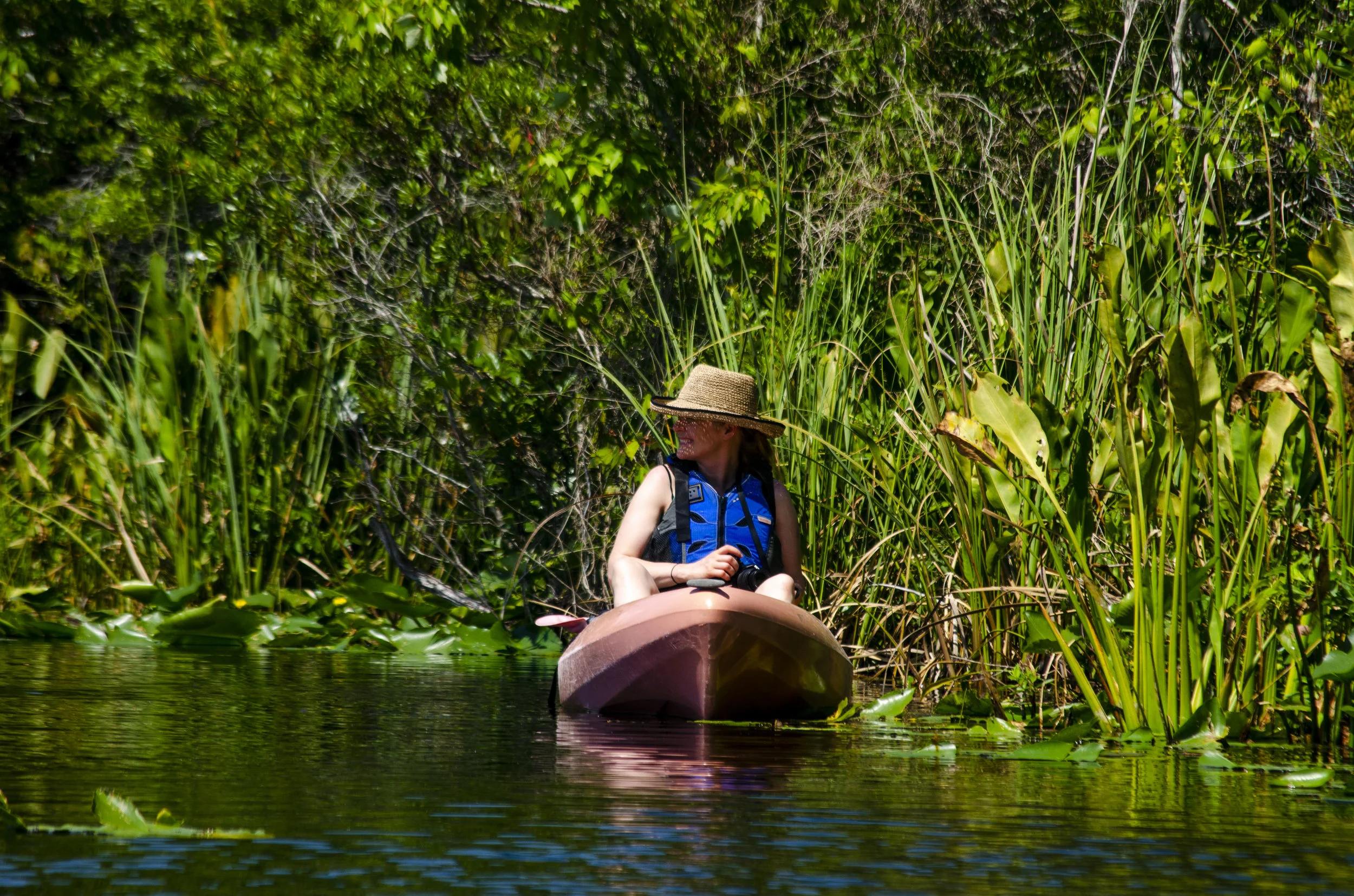 Coco Kayaking Lake Griffin.JPG