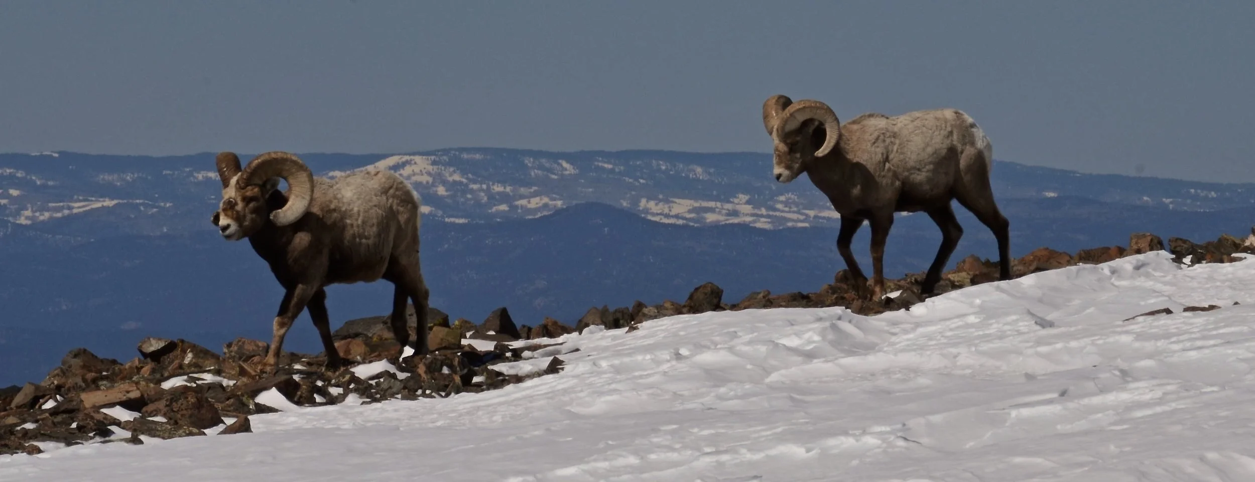 Kachina Teen Week6.JPG