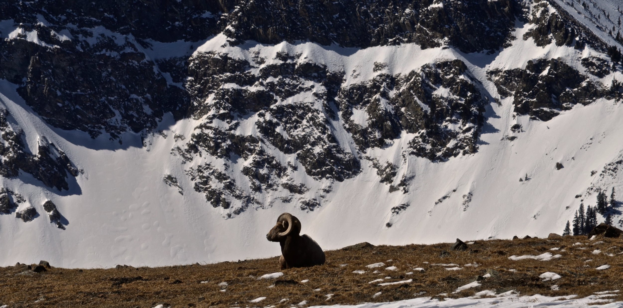 Kachina Teen Week28.JPG