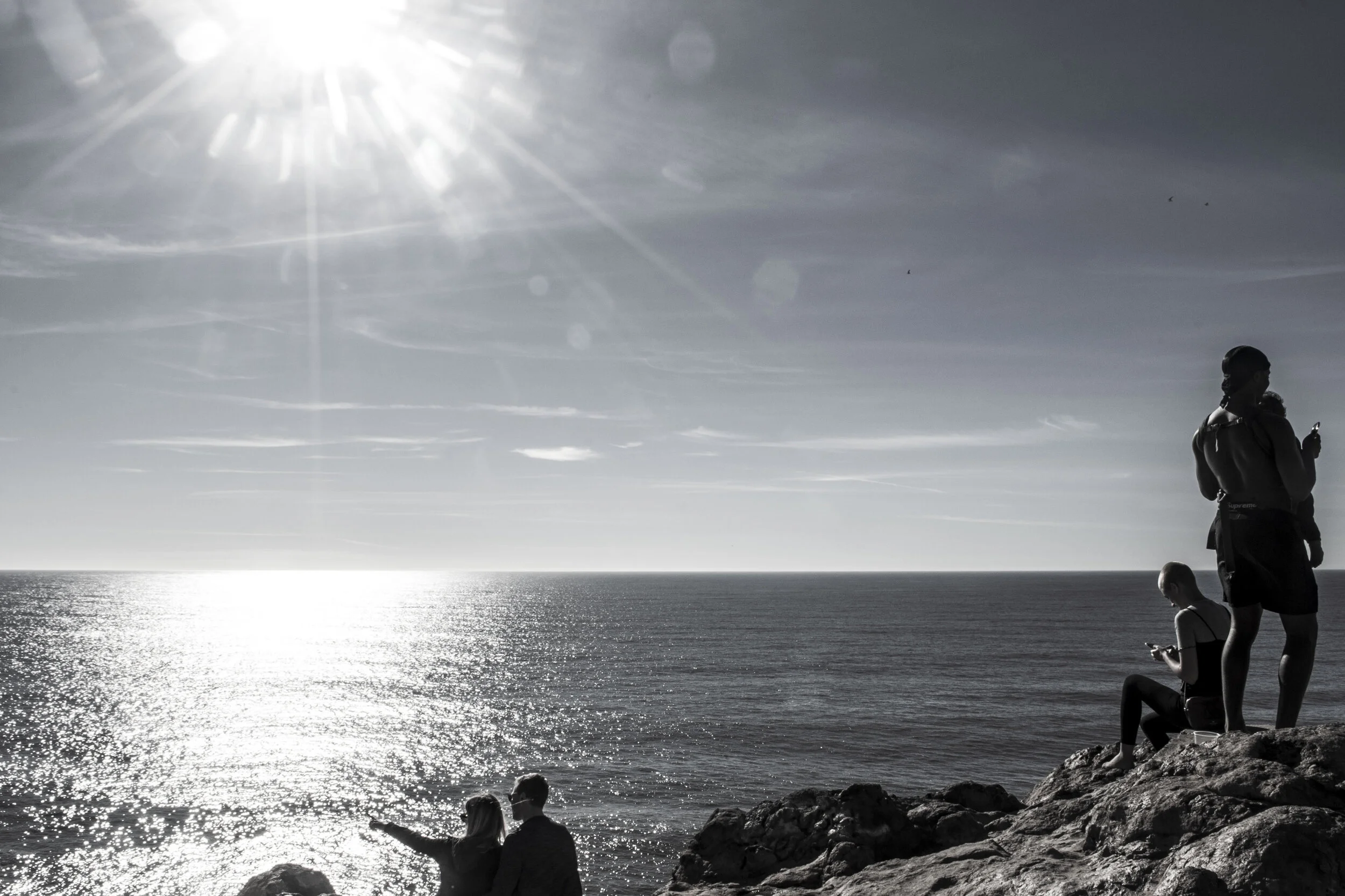 Point Dume Pacific View Silhouettes.JPG