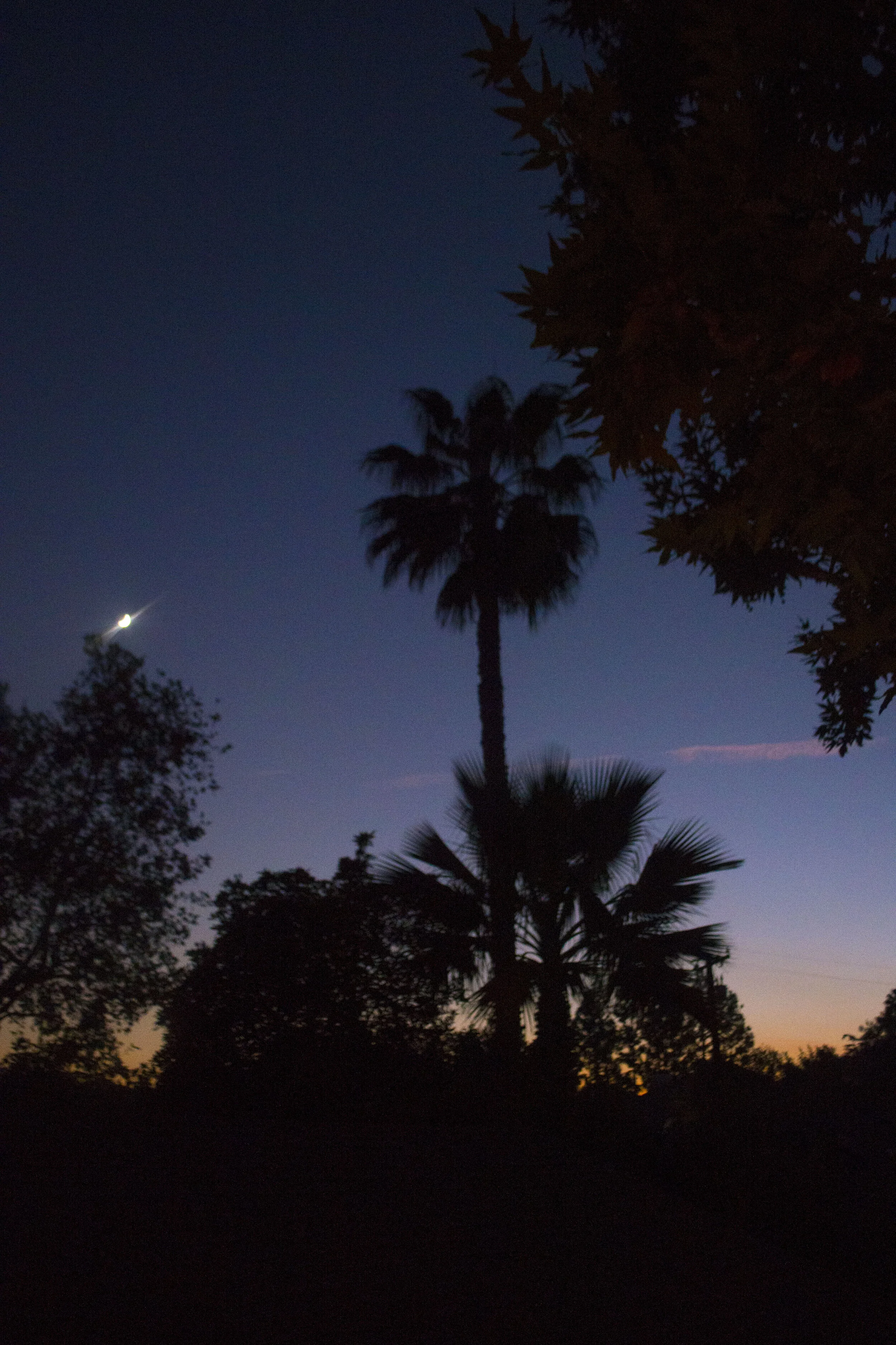 Muffy at the Teepee Summit_DSC5648.JPG