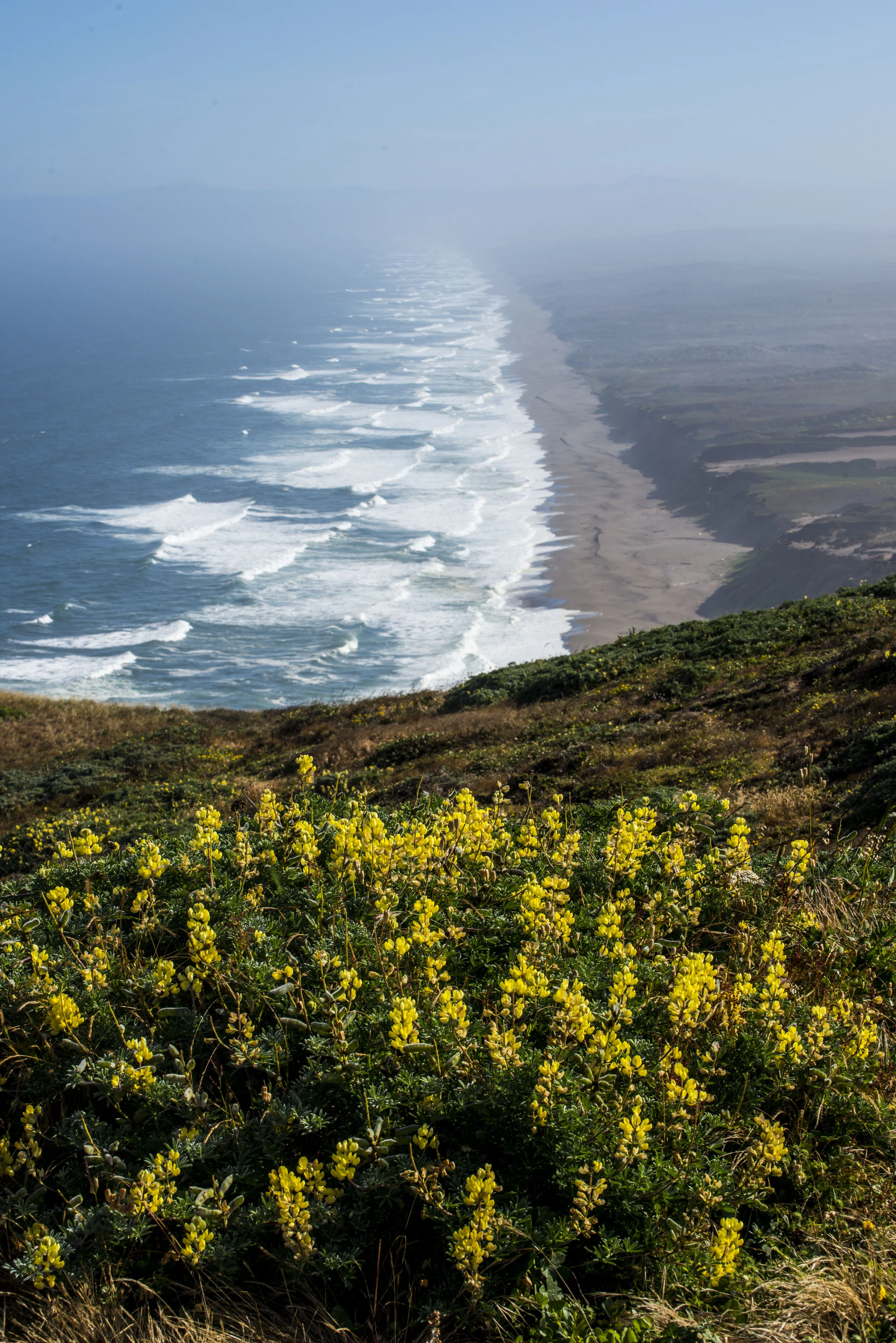 Point Reyes National Seashore (North View)_DSC1498.JPG