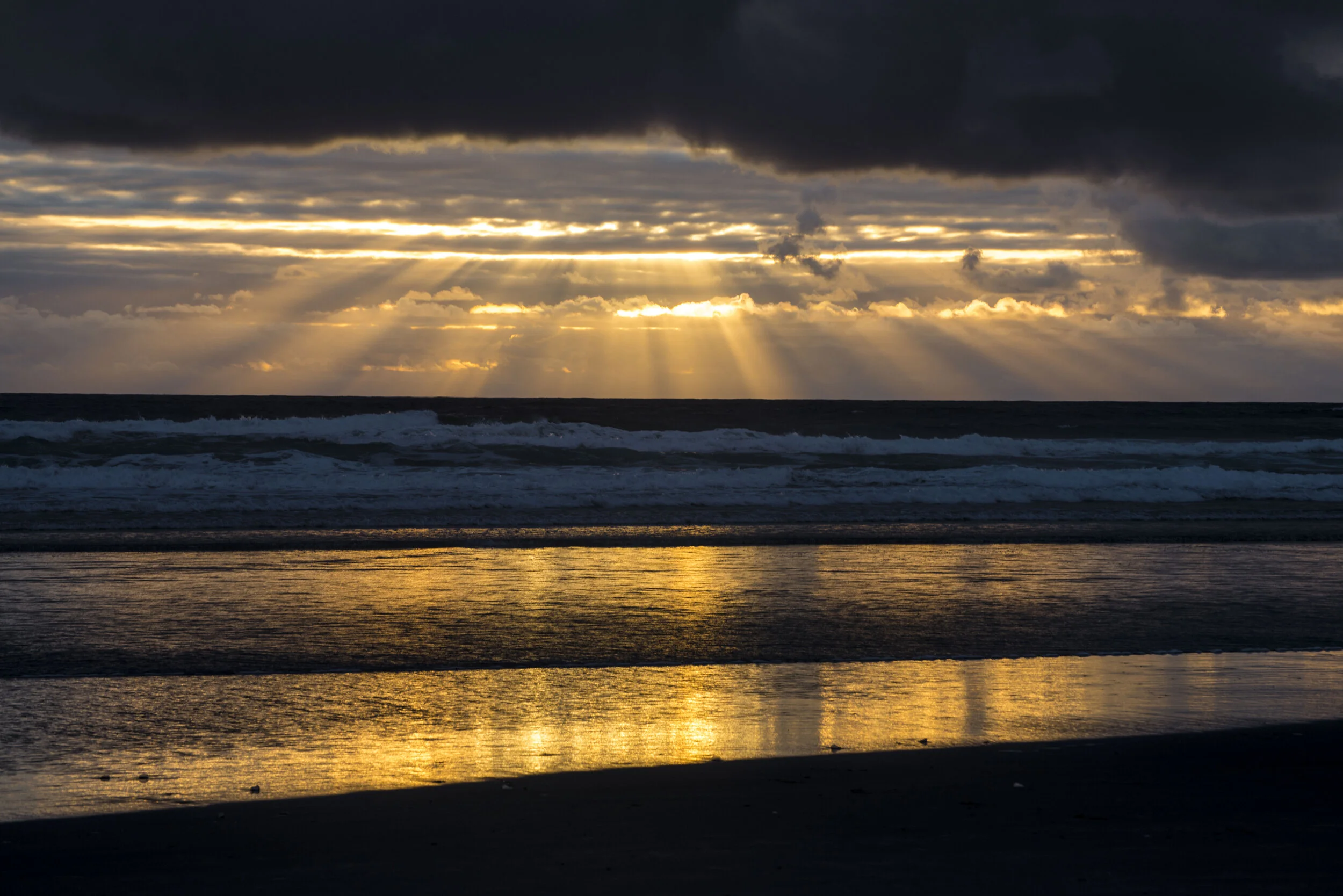 Manzanita Sunrays_DSC0277.JPG