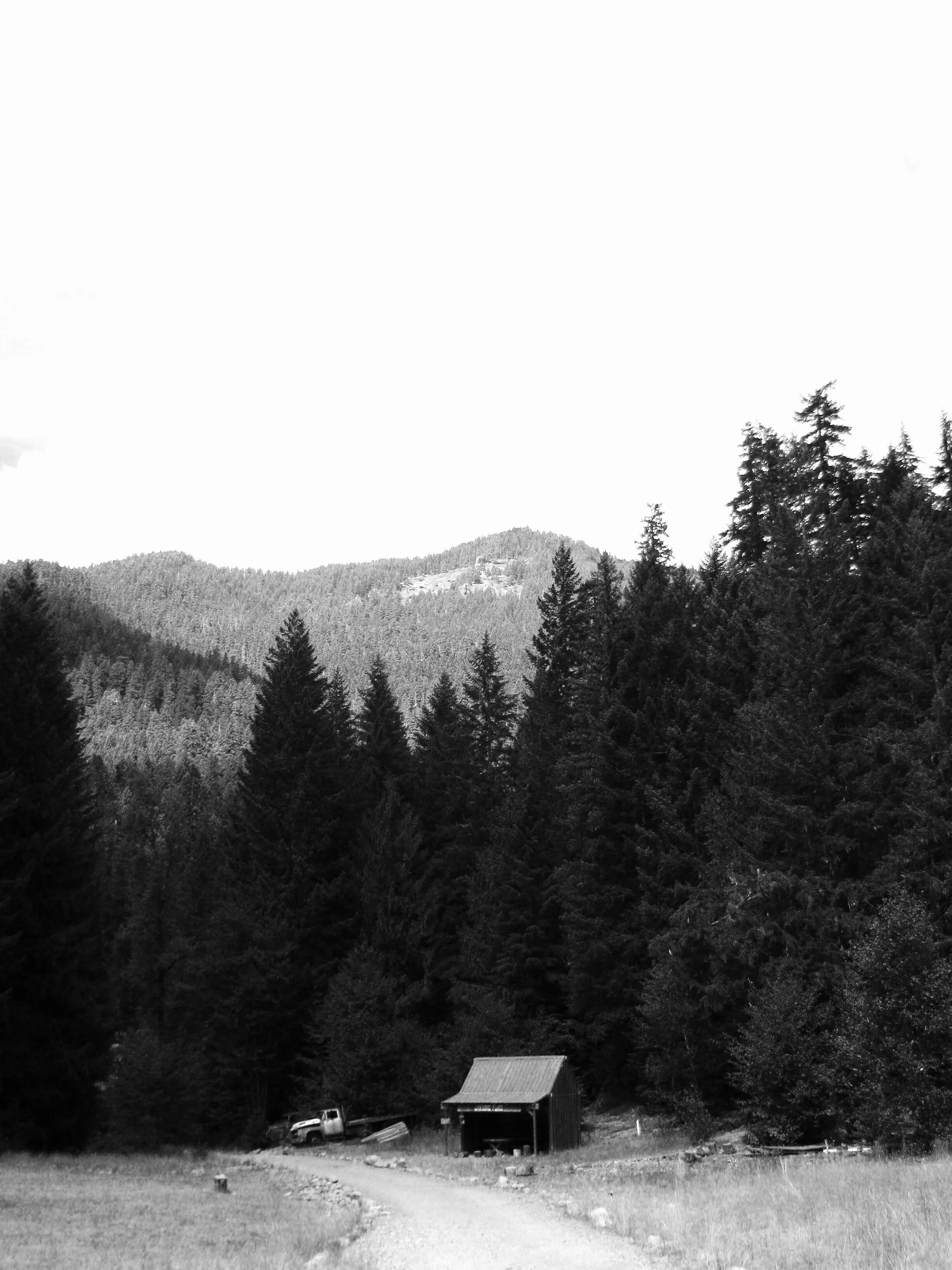 Cedar Flats, etc 008.JPG