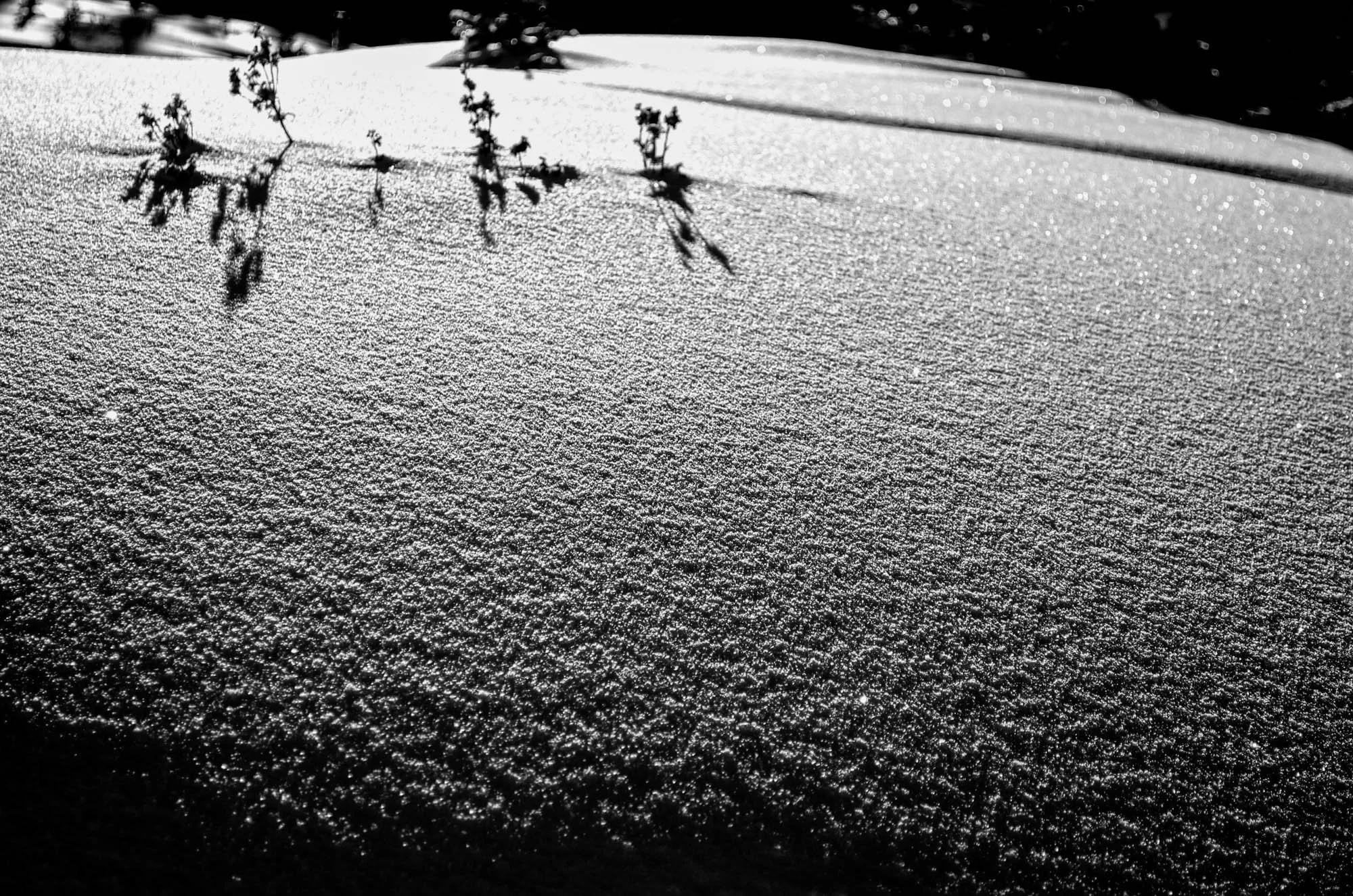 TSV-Ski-Life-9.JPG
