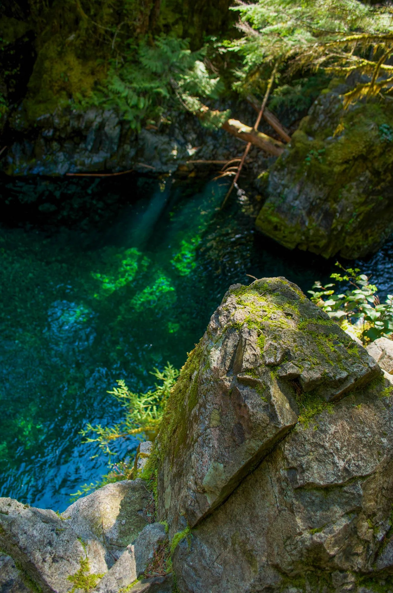 Opal-Creek-2015-2.JPG