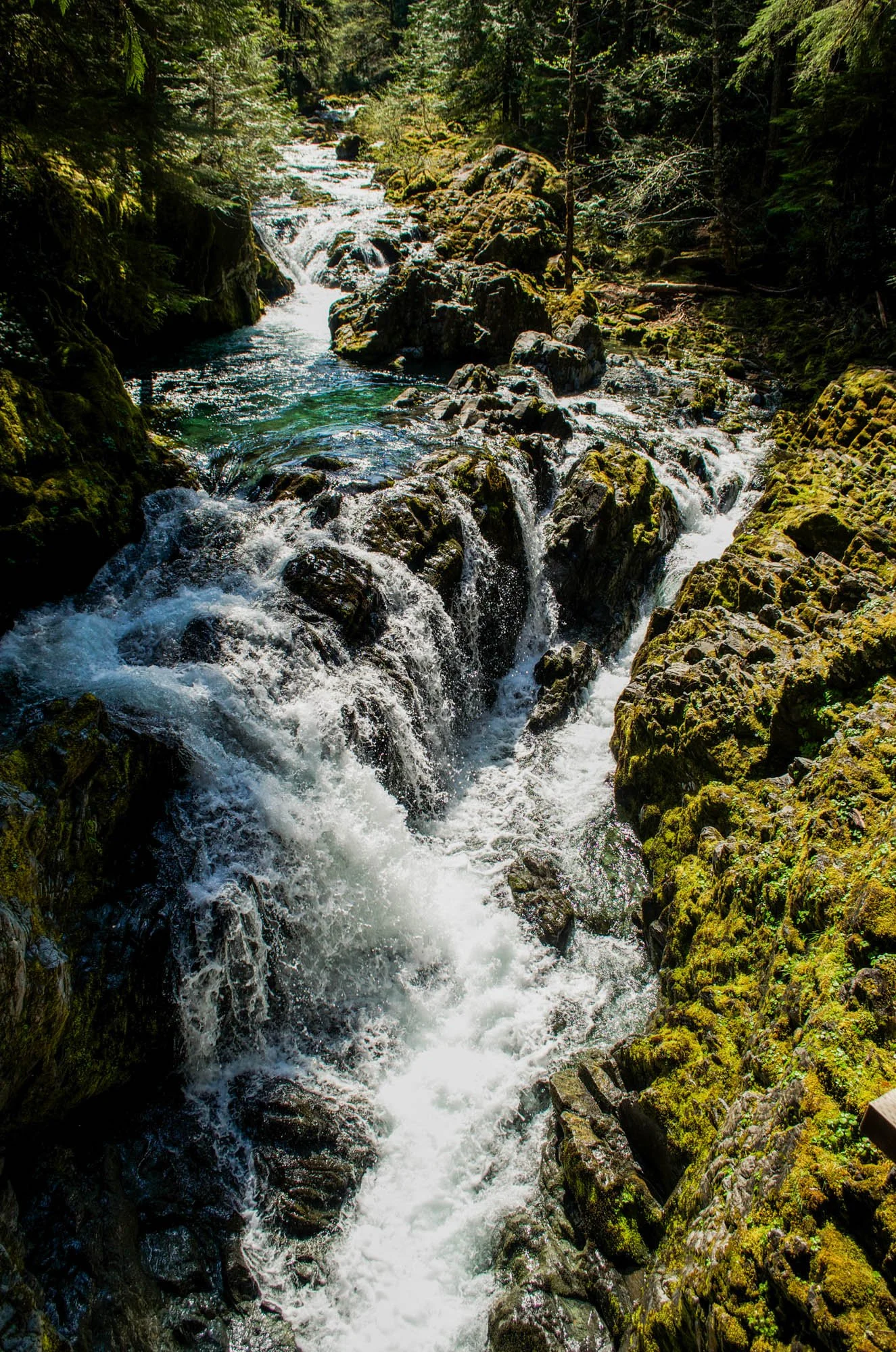 Opal-Creek-2015-3.JPG