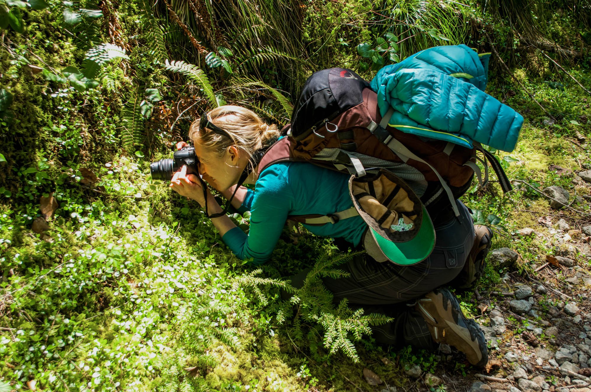 Opal-Creek-2015-5.JPG