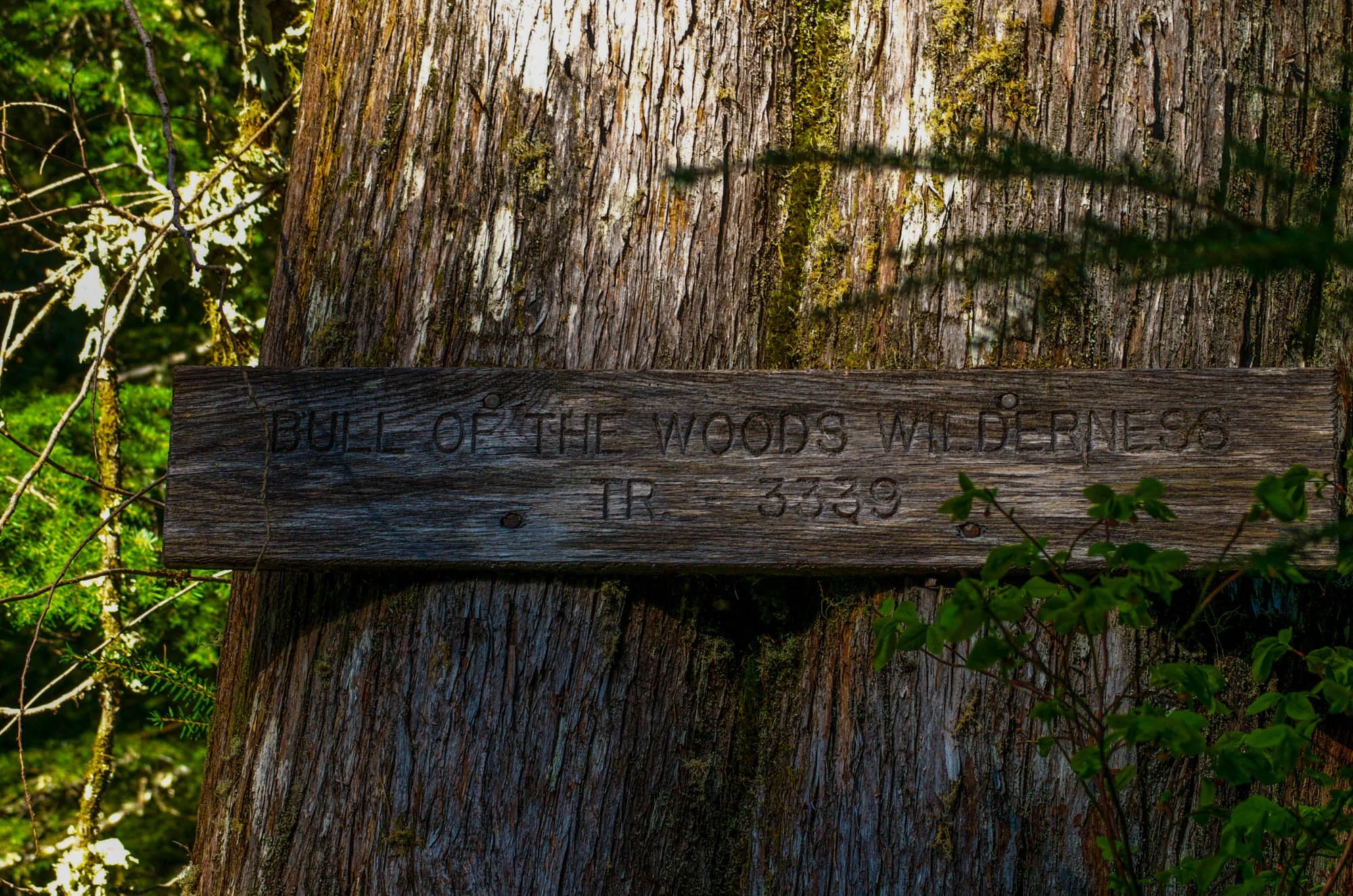 Opal-Creek-2015-15.JPG