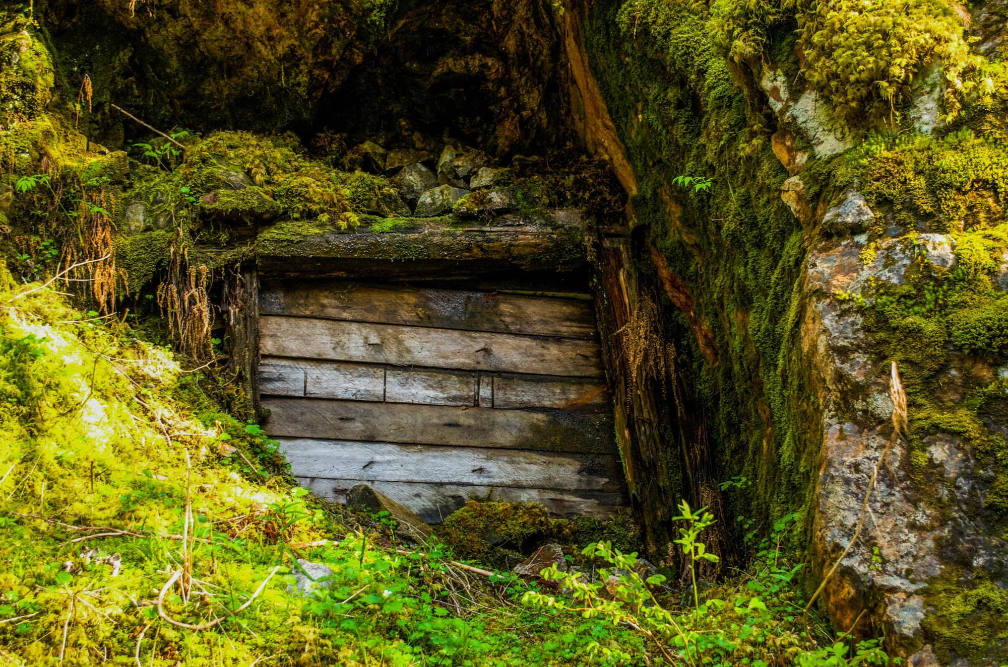 Opal-Creek-2015-23.JPG