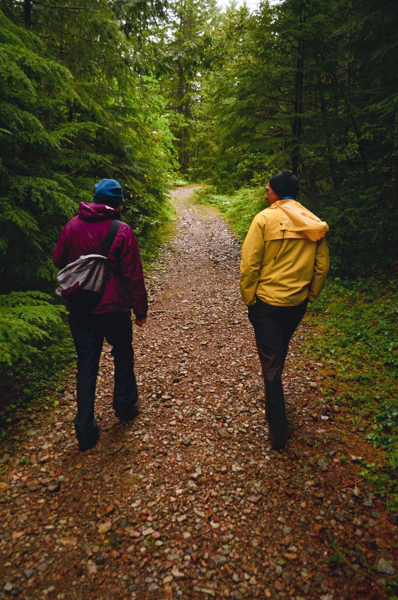 Opal-Creek-2013-31.JPG