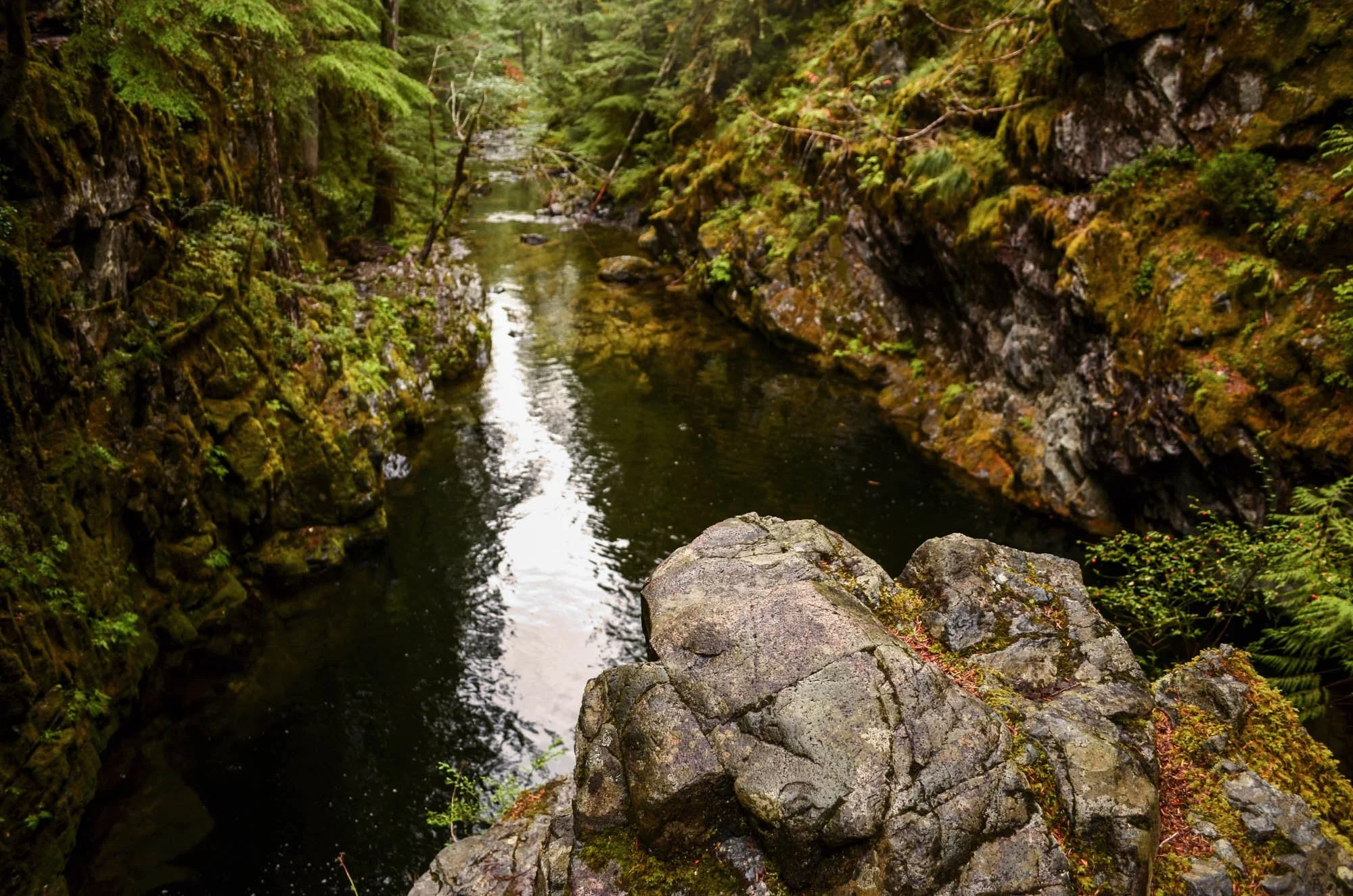 Opal-Creek-2013-103.JPG