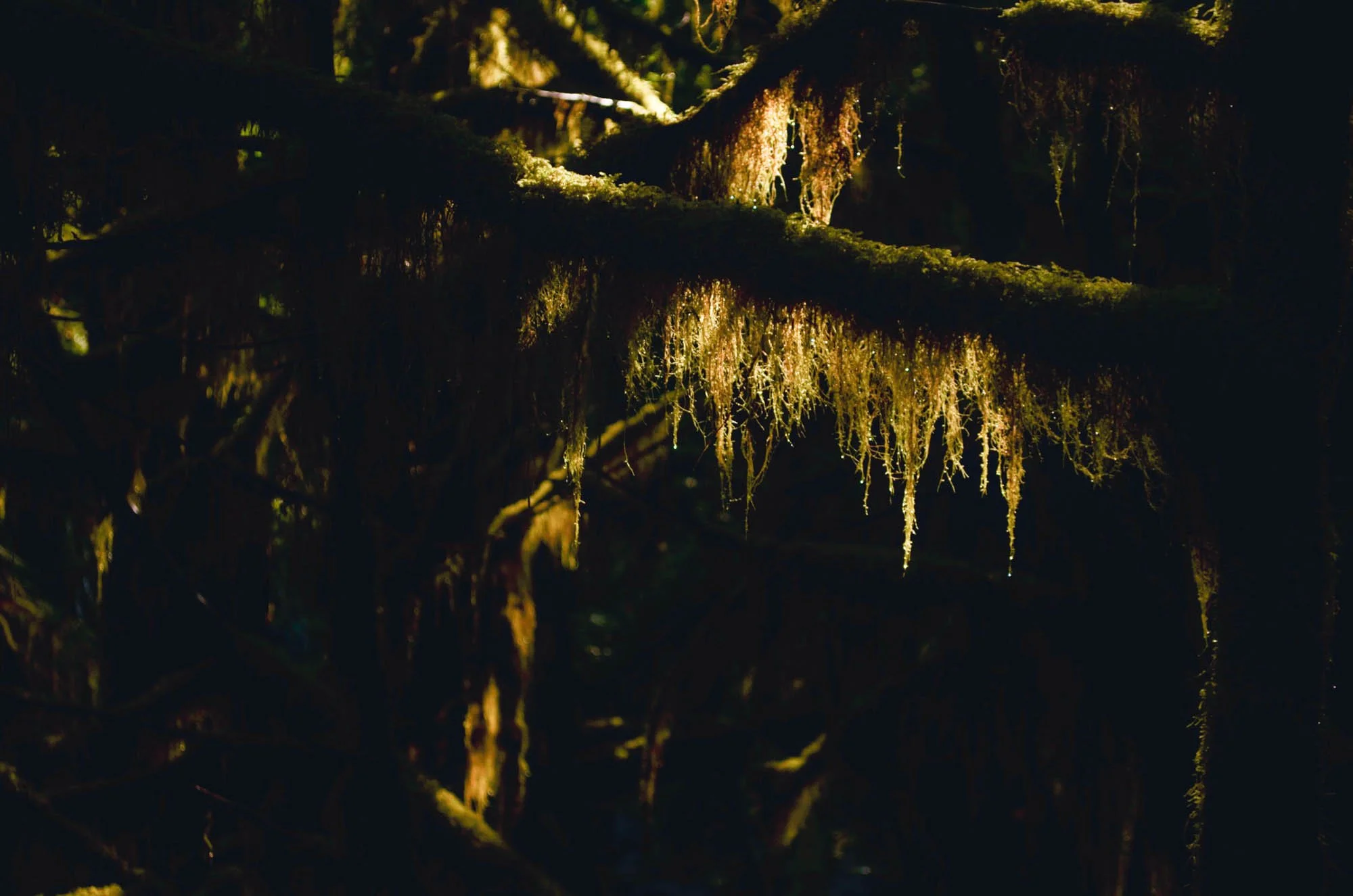 Opal-Creek-2013-114.JPG