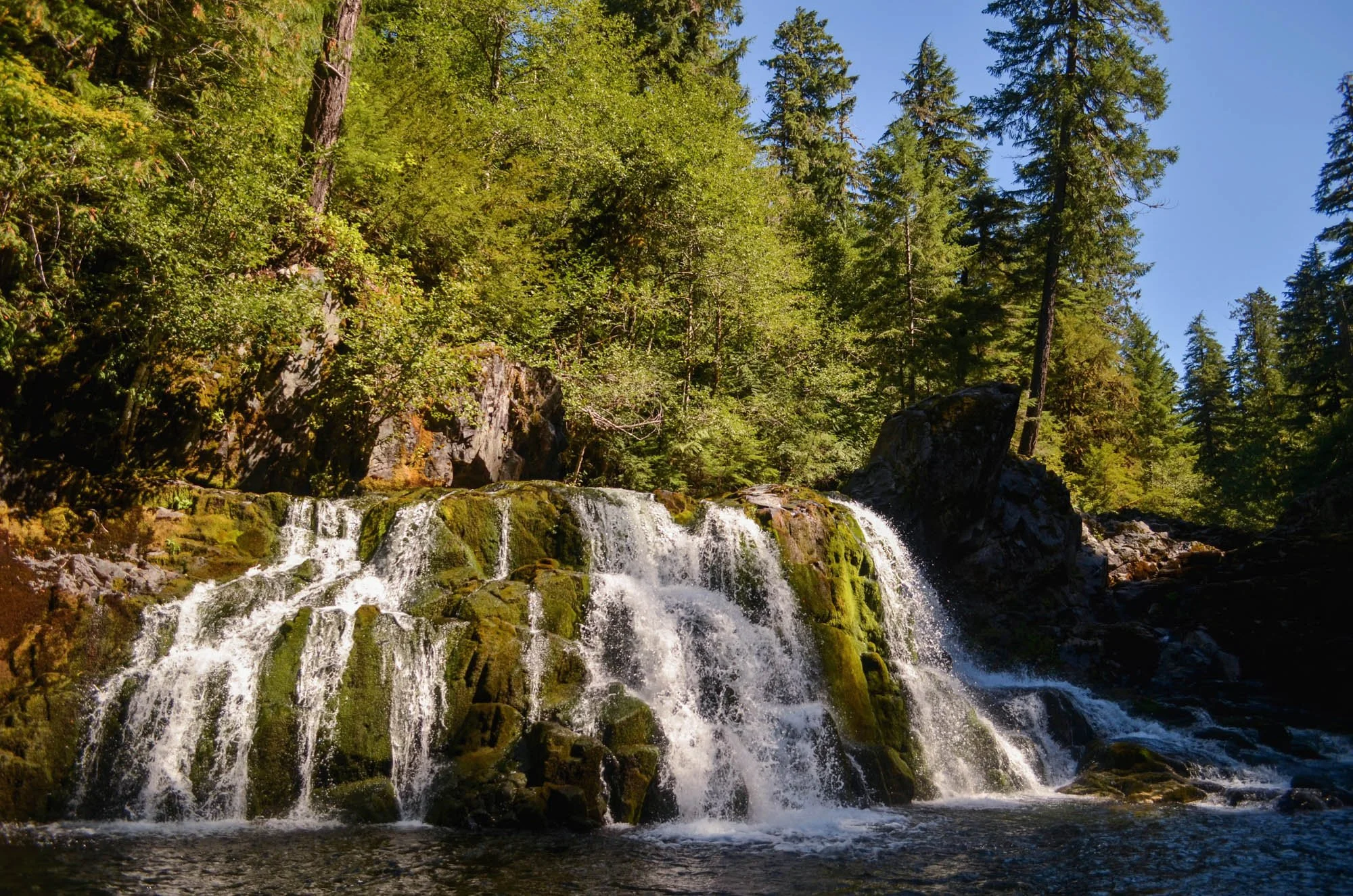 Opal-Creek-2013-134.JPG