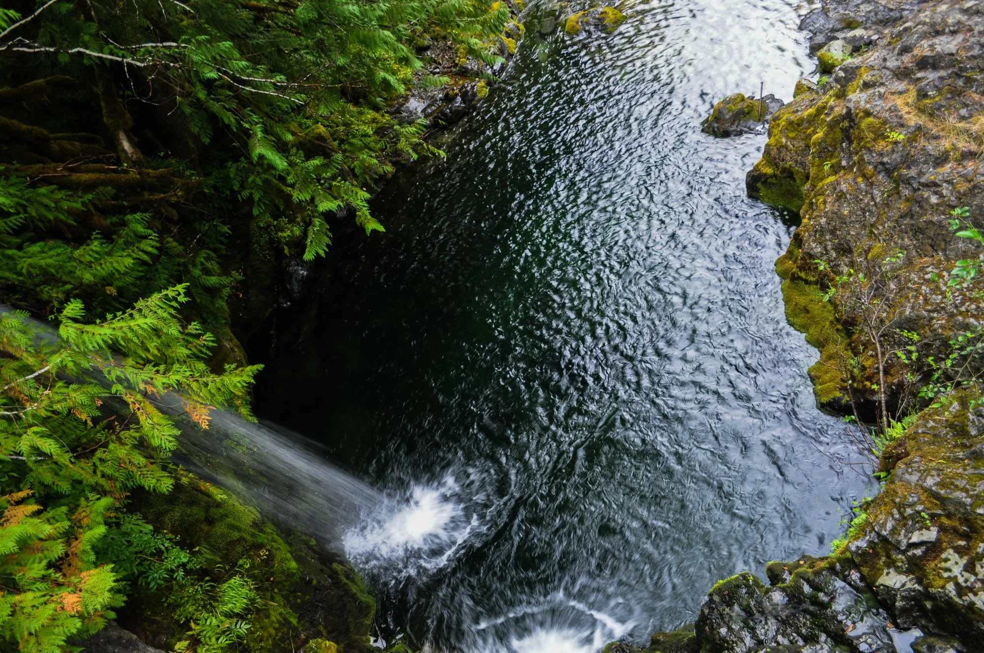 Opal-Creek-2010-72.JPG