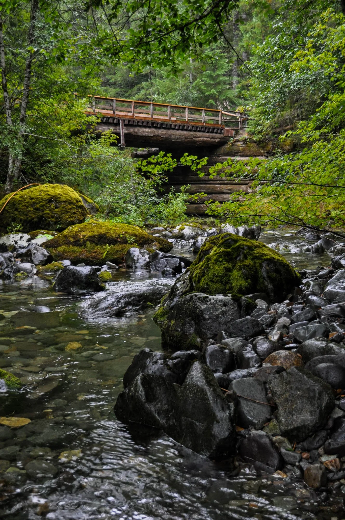Opal-Creek-2010-91.JPG
