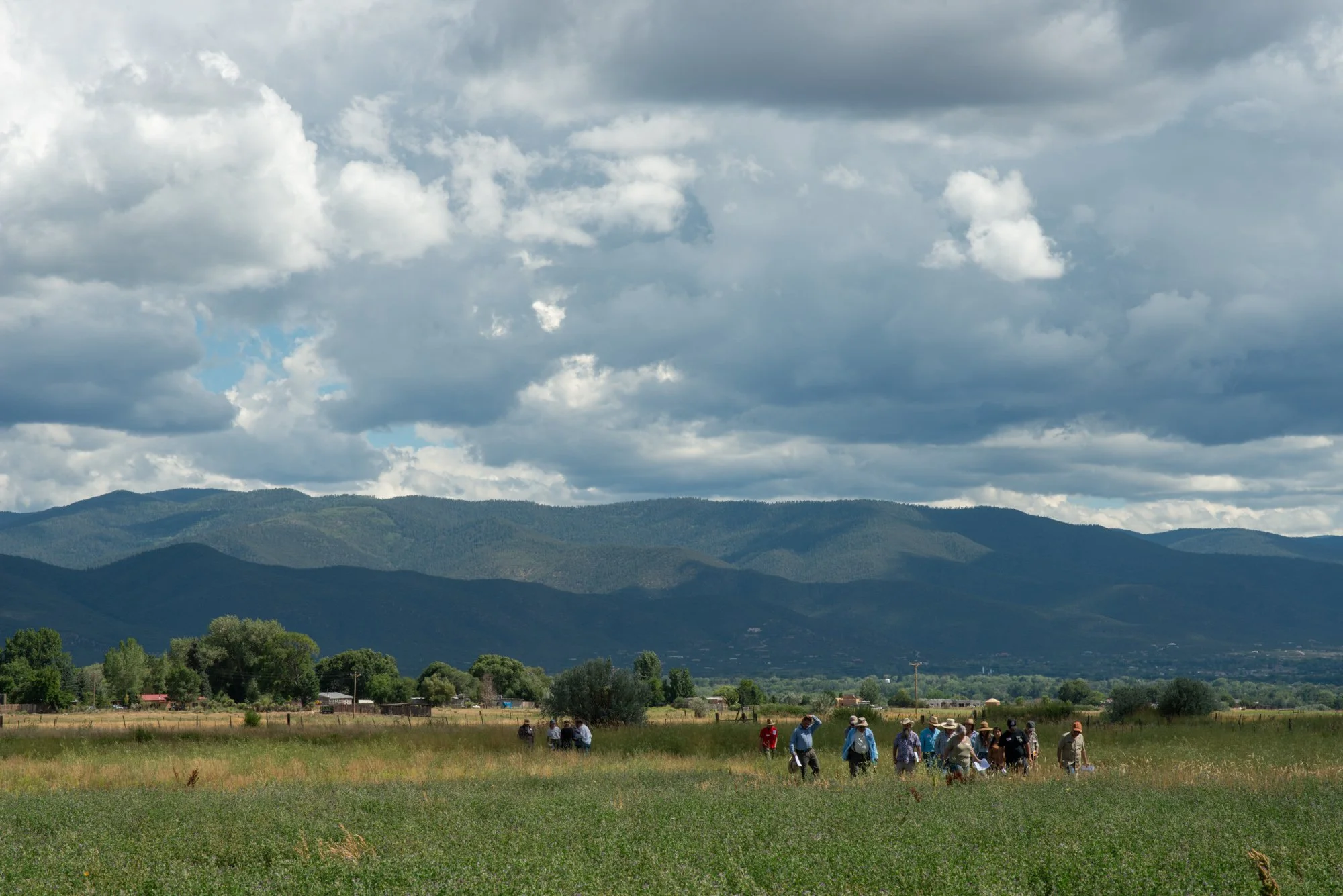 Regenerative-Agriculture-Field-Day-13.JPG