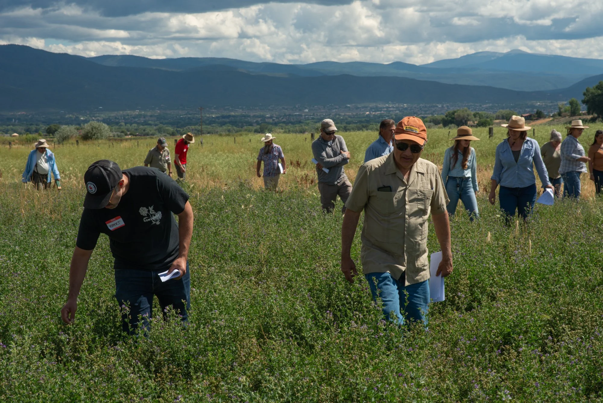 Regenerative-Agriculture-Field-Day-15.JPG