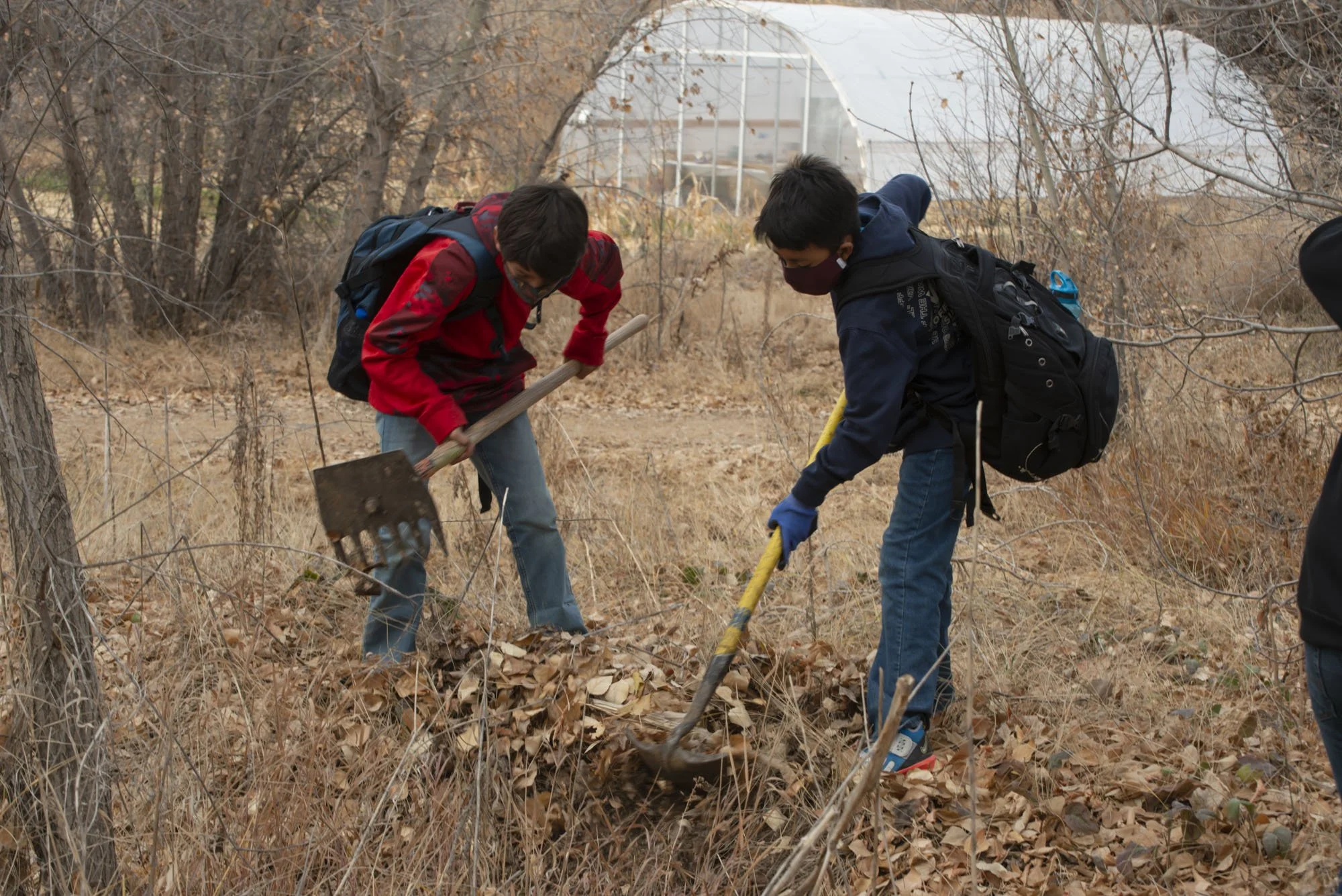 6_TaosLandTrust-Acequia-Cleaning.JPG
