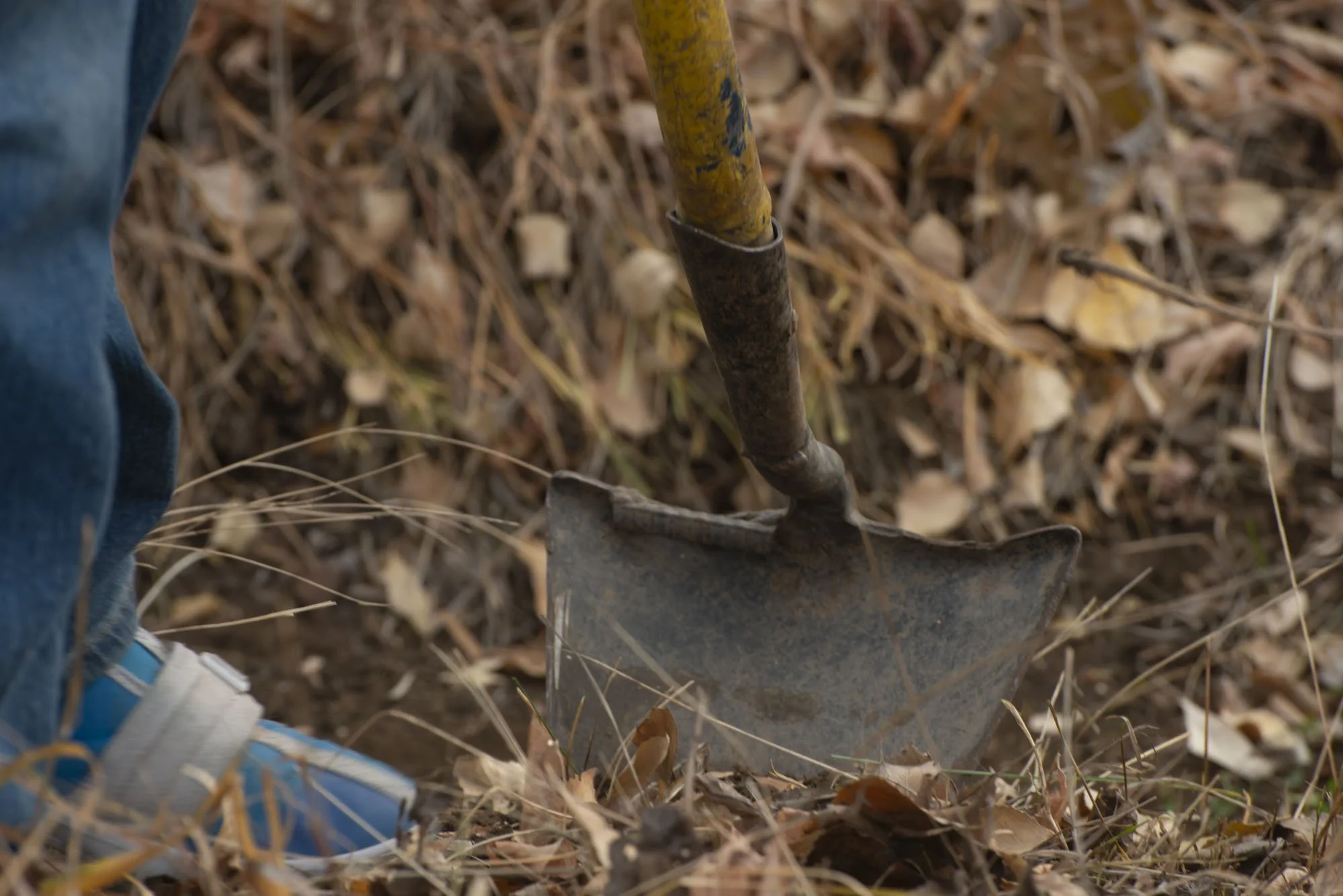 9_TaosLandTrust-Acequia-Cleaning.JPG