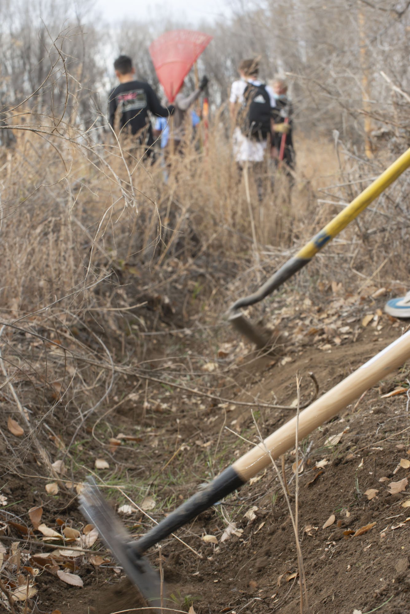 13_TaosLandTrust-Acequia-Cleaning.JPG