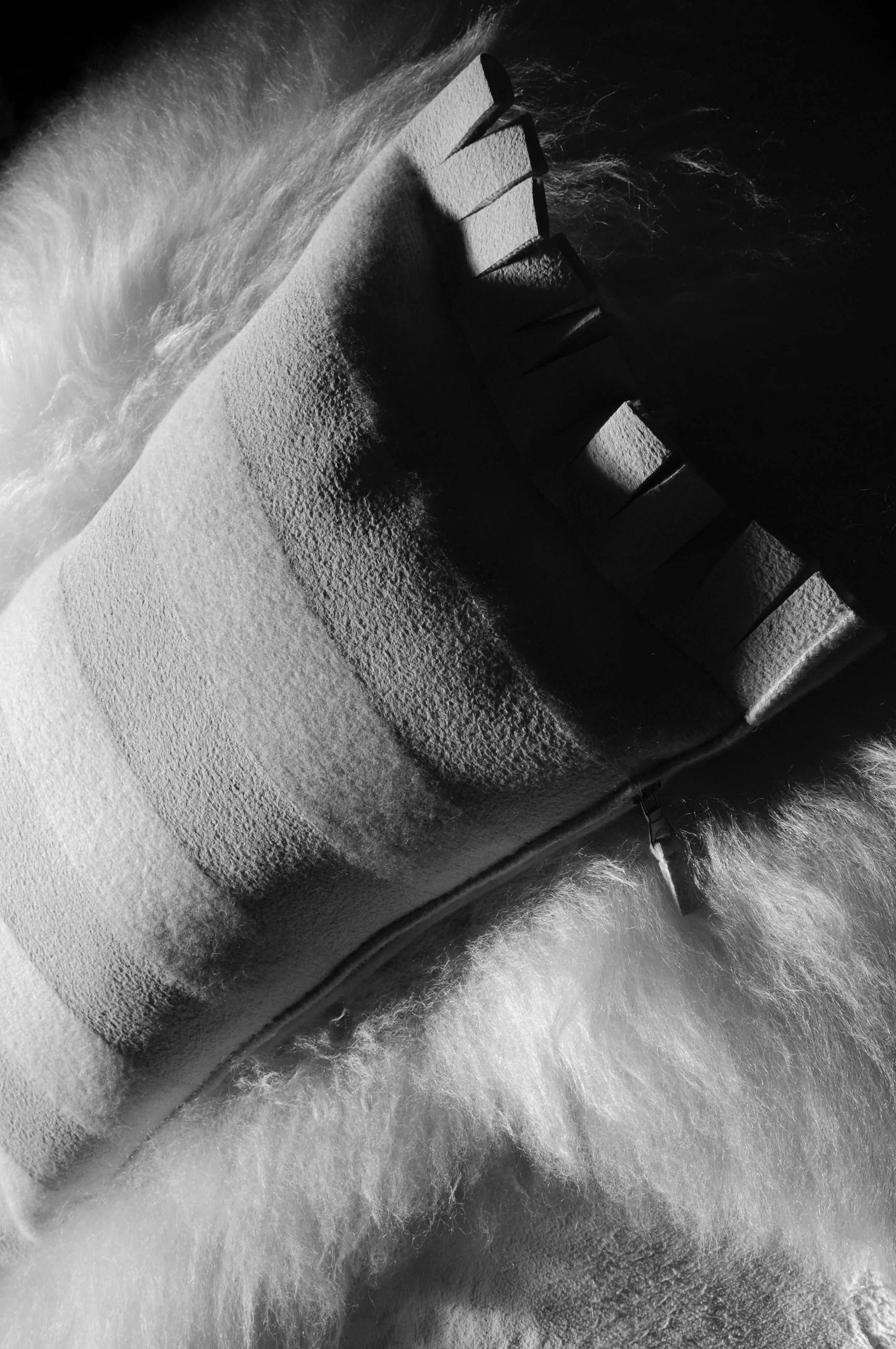 BOB b&w.JPG