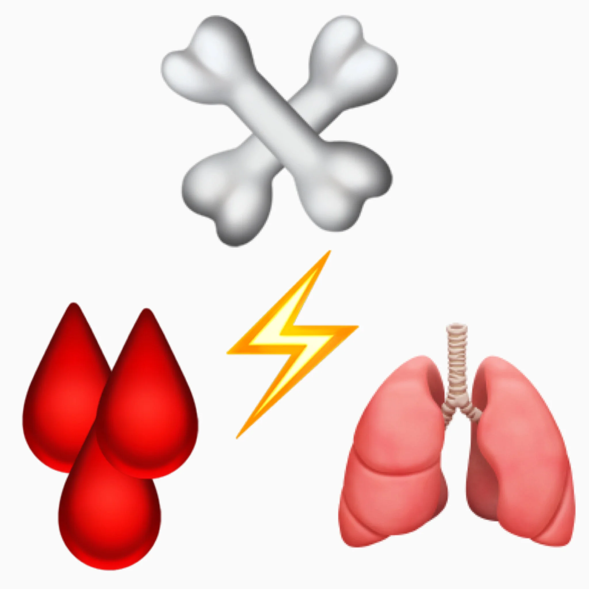 BONE, BLOOD &amp; BREATH