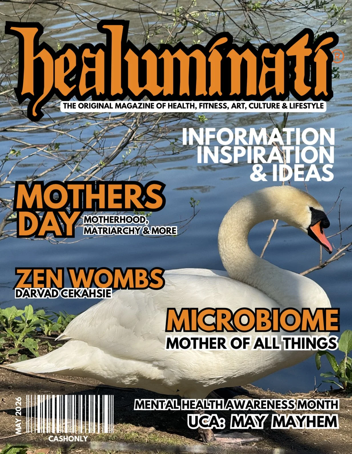 ISSUE #005