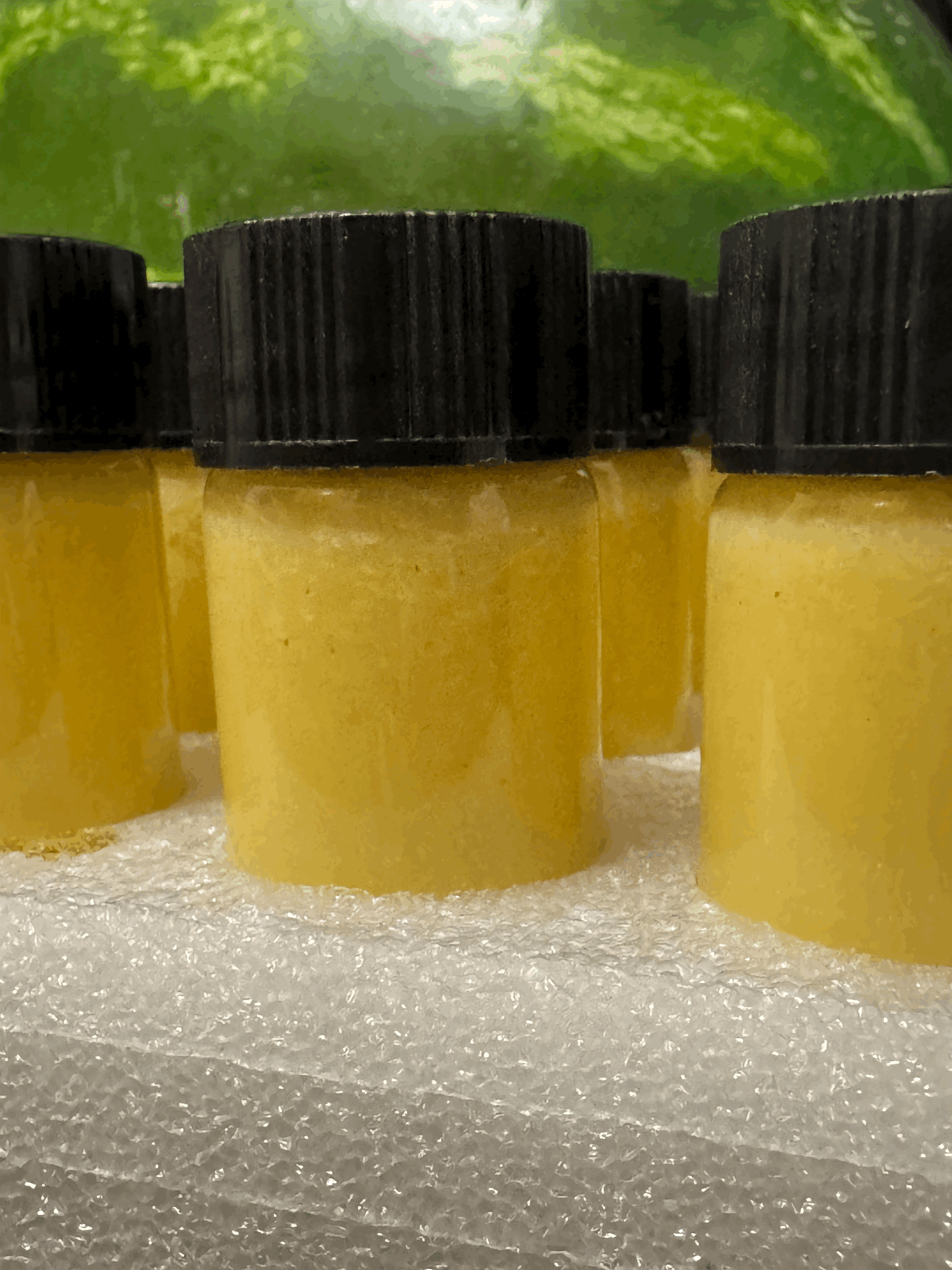 tempImageQ051TC.gif