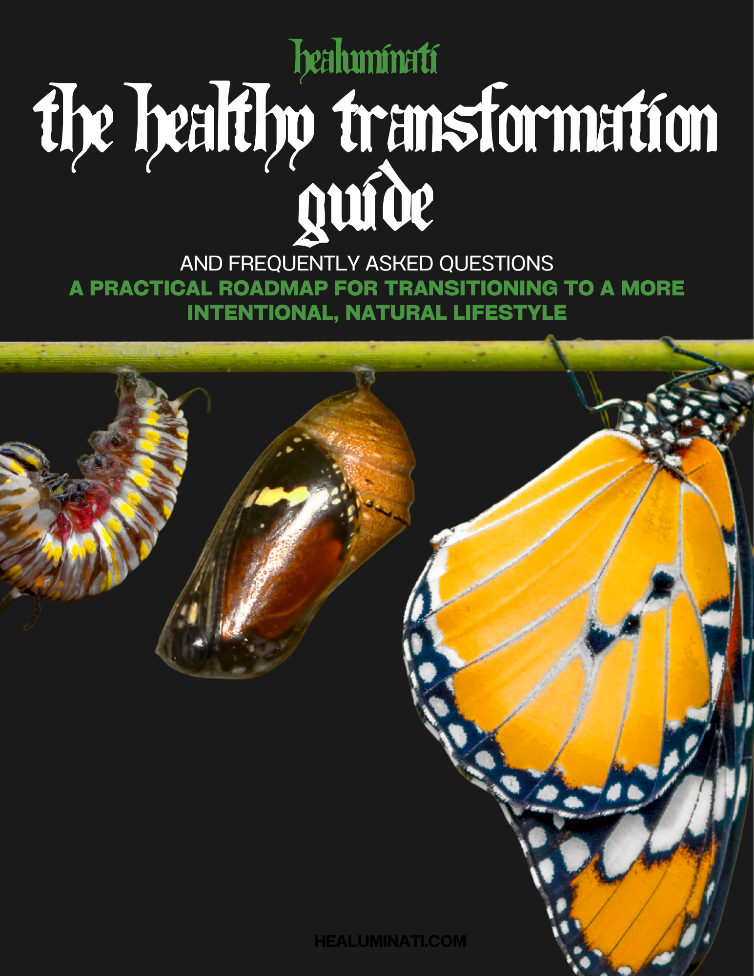 A GUIDE TO A HEALTHY TRANSFORMATION