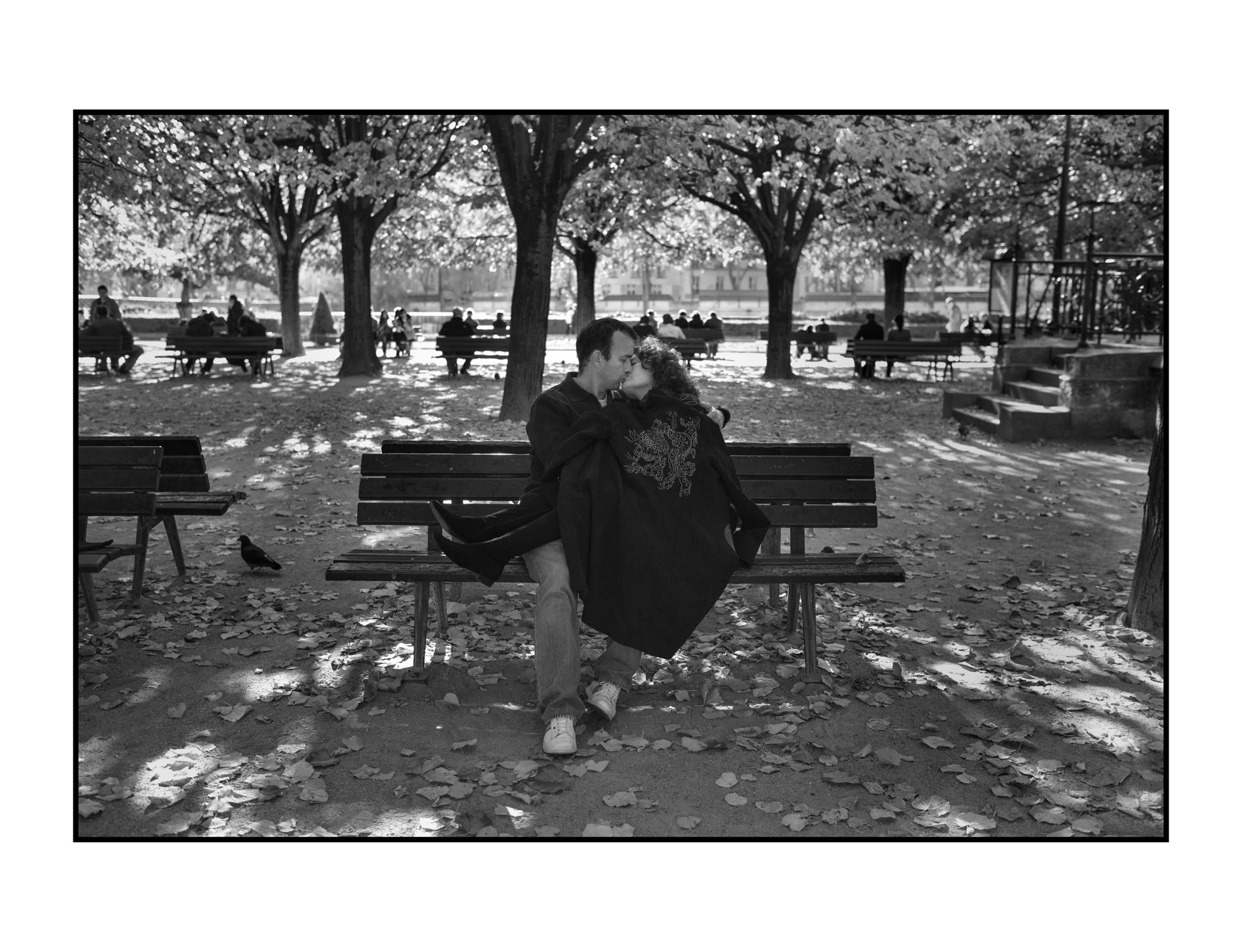  Behind the Notre Dame Cathedral 2011