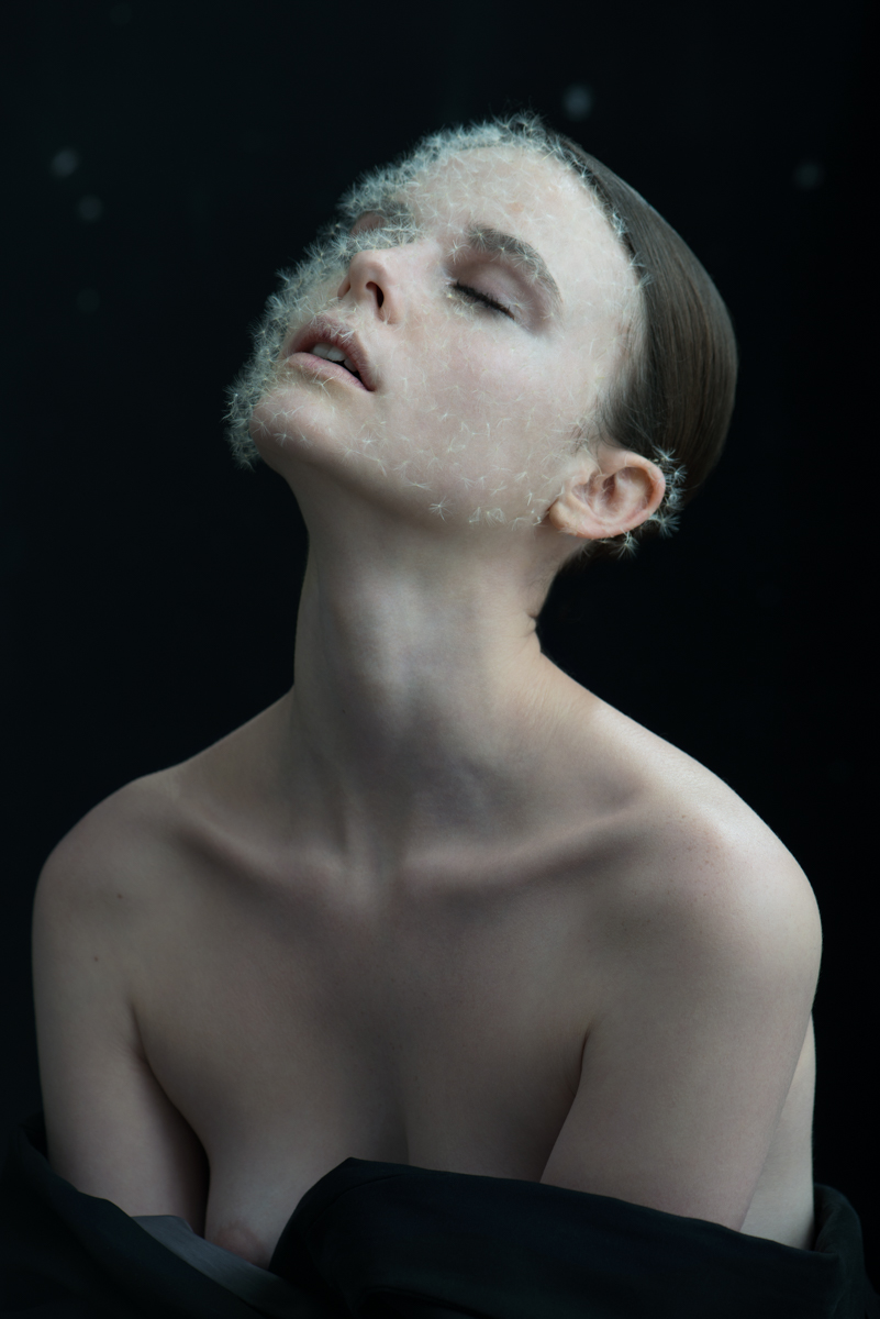 蒲公英#07, 2014 83.4 x 120 厘米 / 104 x 150 厘米