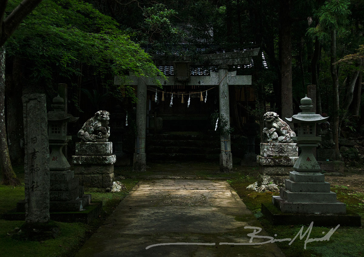 Website photos_City10.jpg
