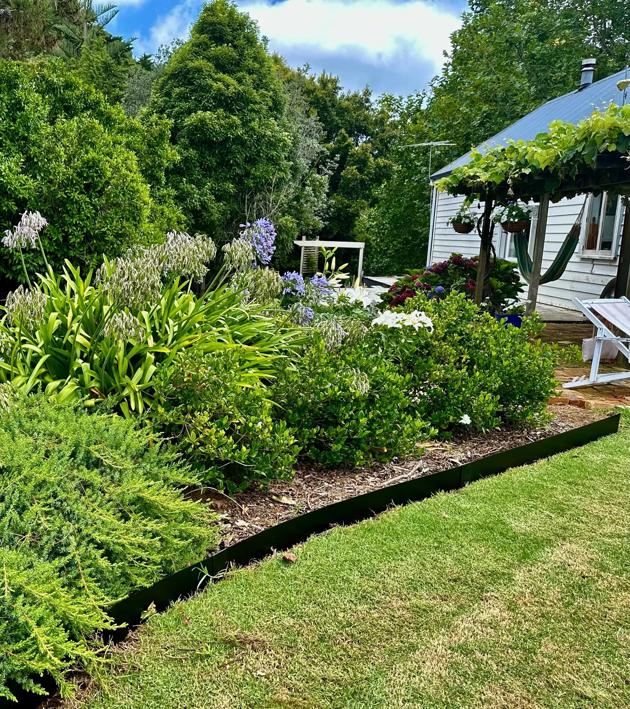 Are you looking for a gardener in Auckland?