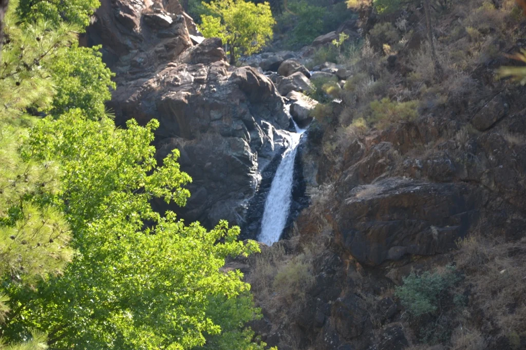 DSC_0768_1024.jpg
