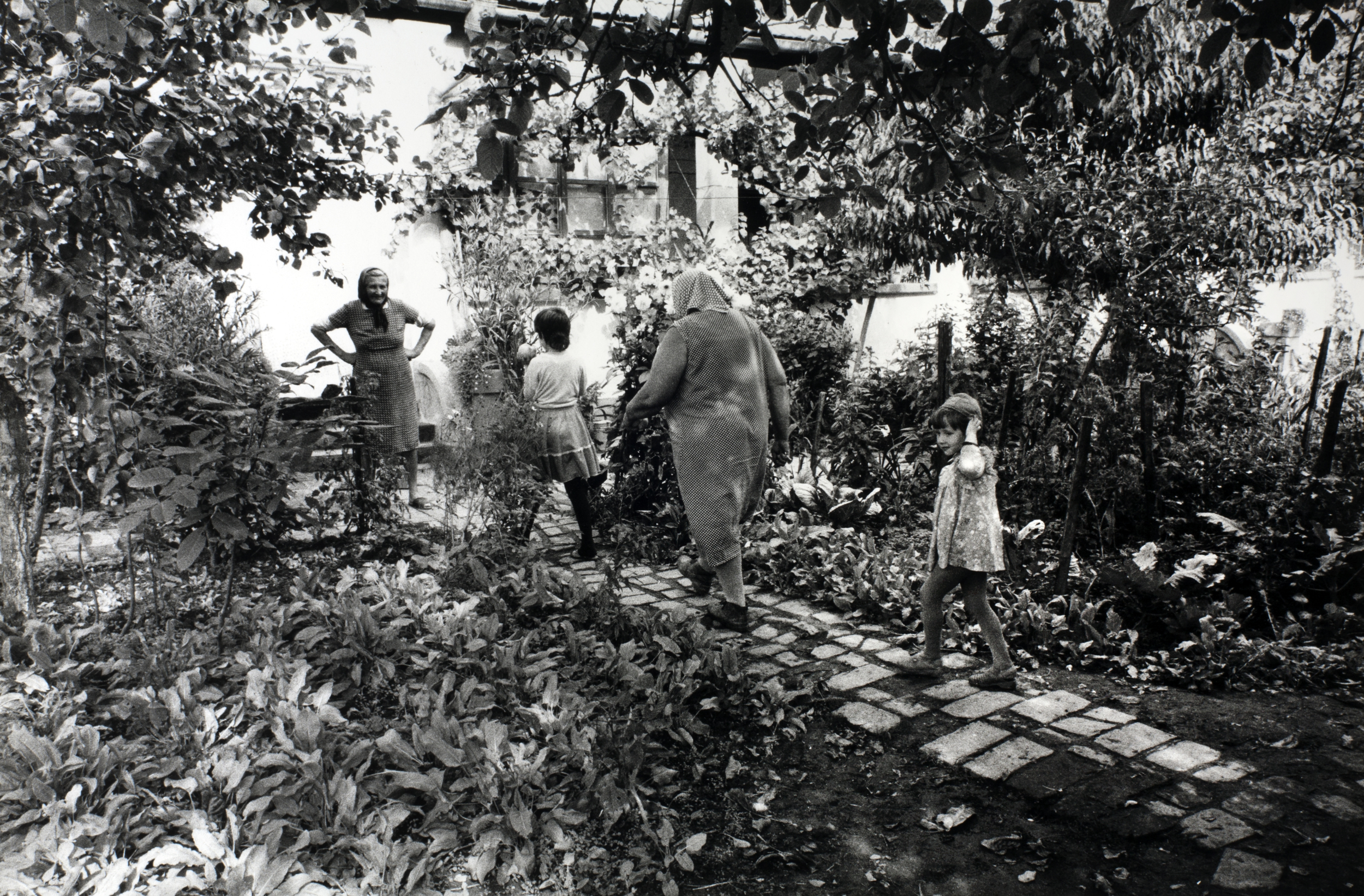 Banat, near Timisoara, 1990