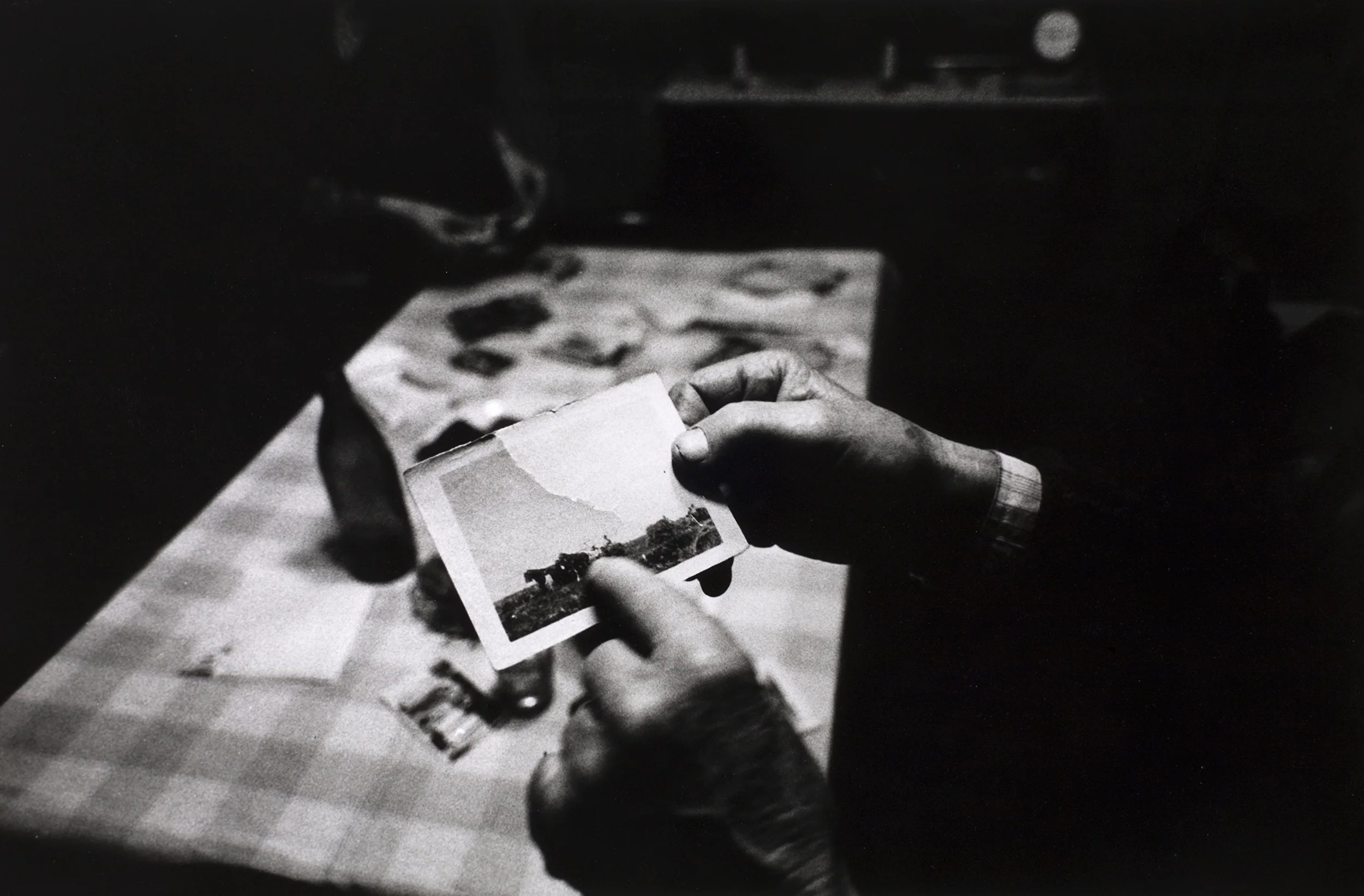 Banat, near Timisoara, 1988