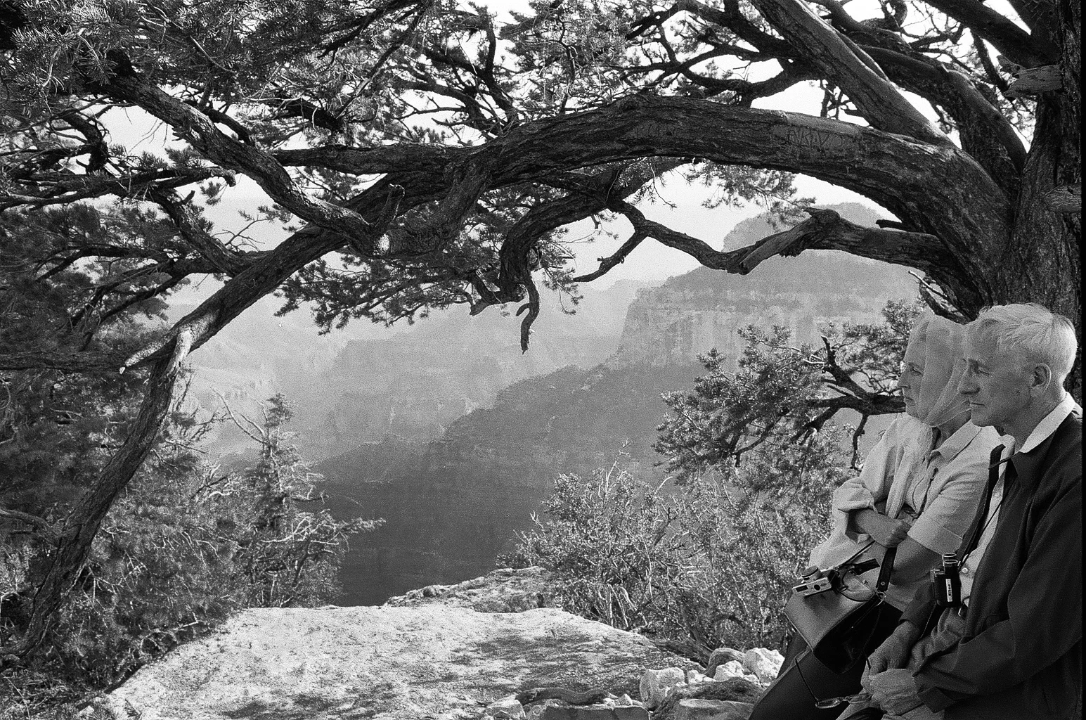 Grand Canyon, 1983