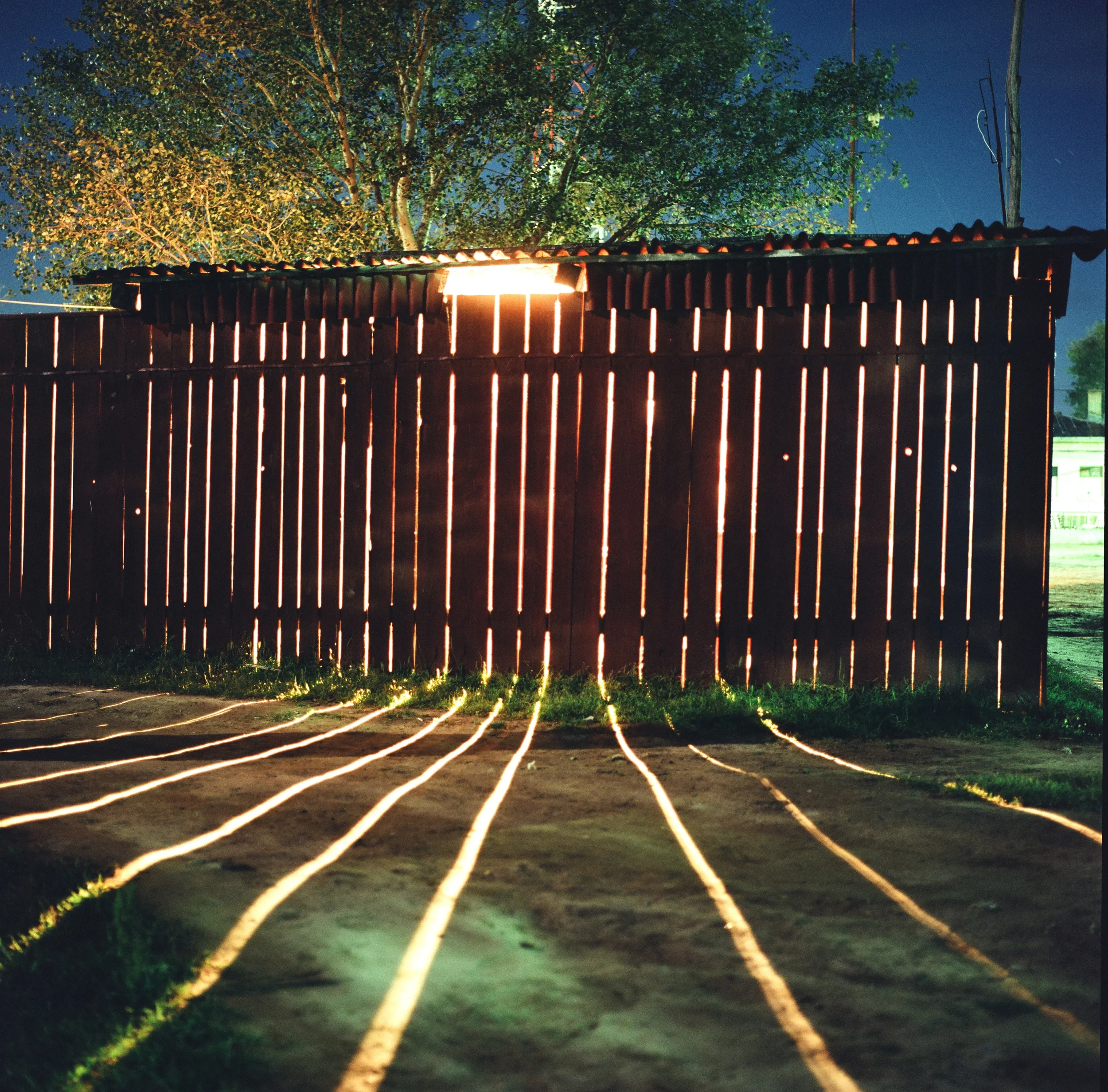 Fence, Danubedelta, Romania