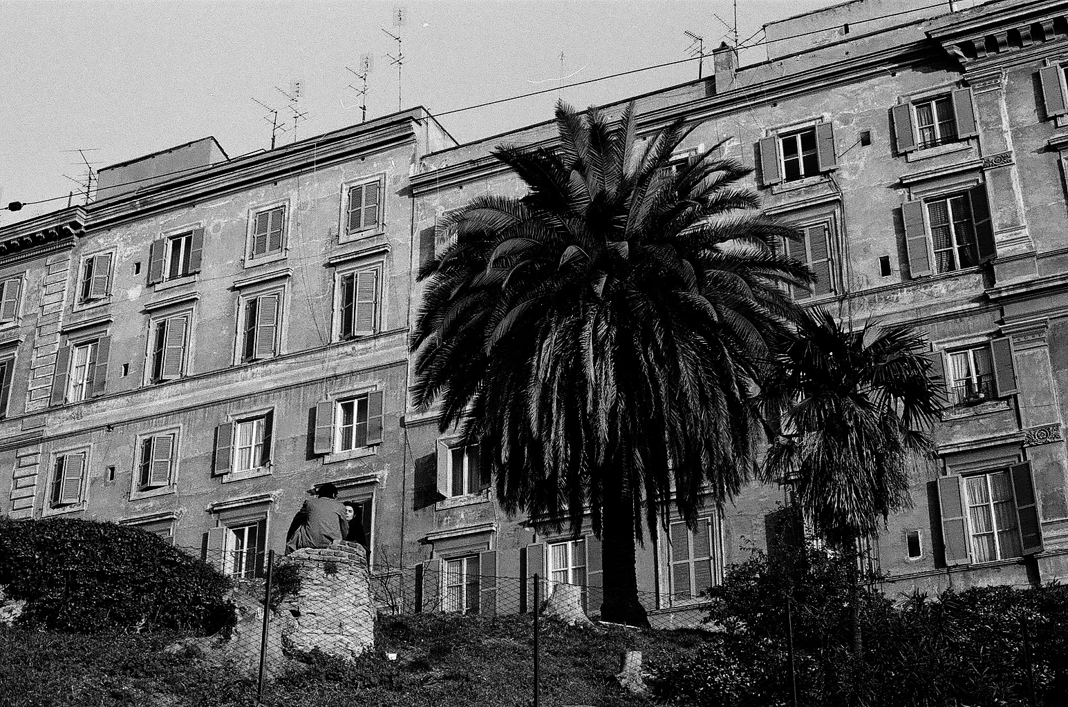 Rom 1983
