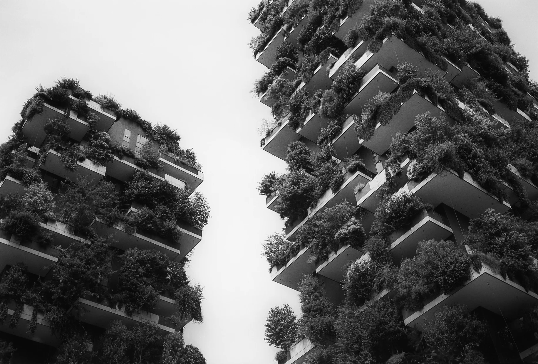 Milano, Bosco Verticale