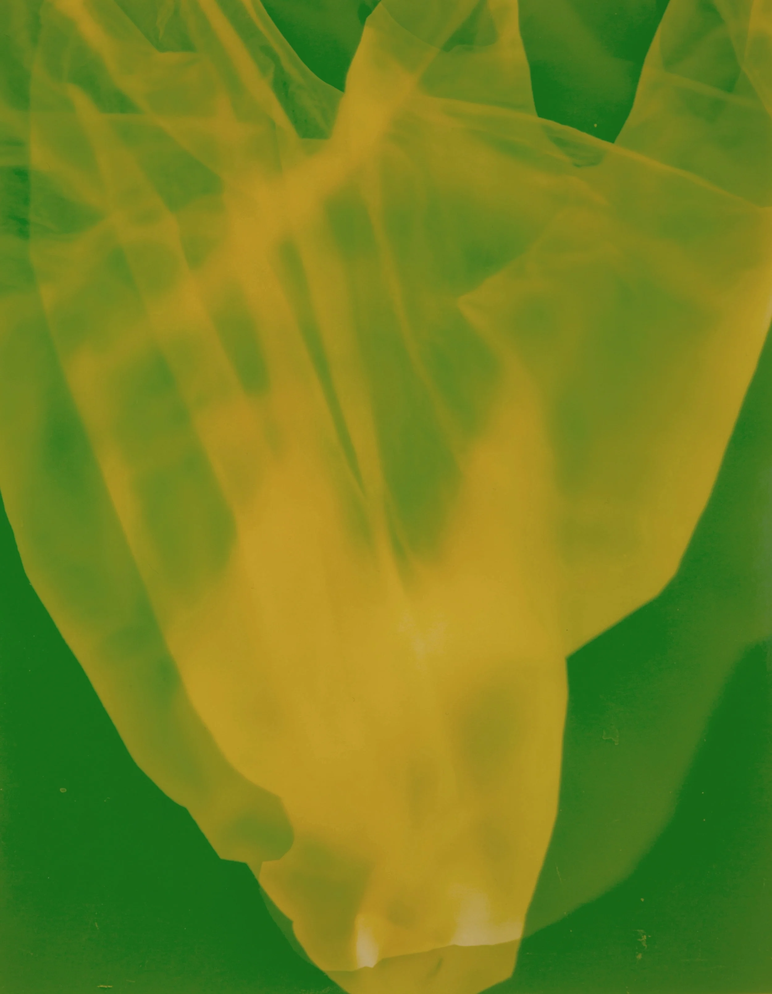 Conversations with a plasticbag 8
