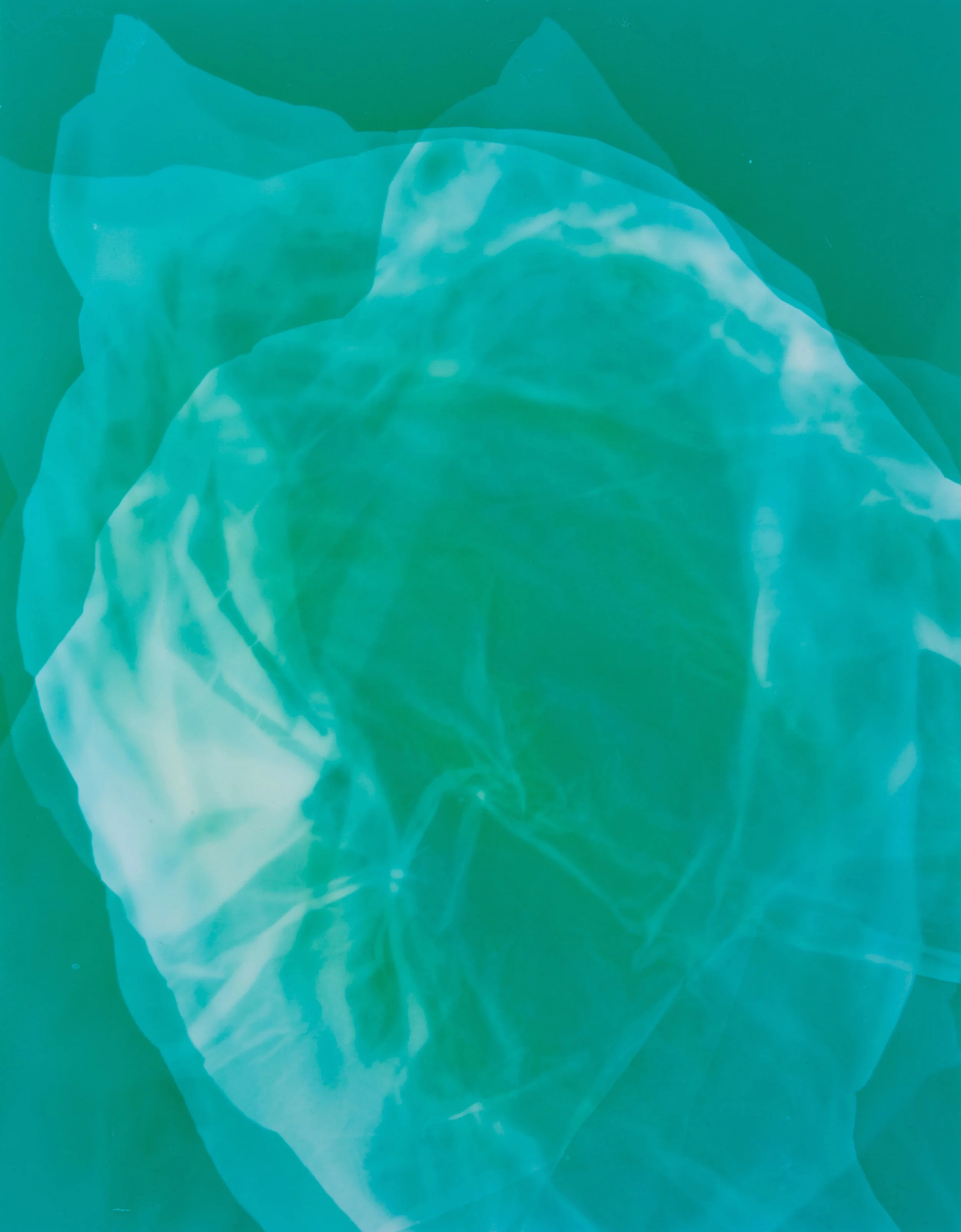 Conversations with a plasticbag 6