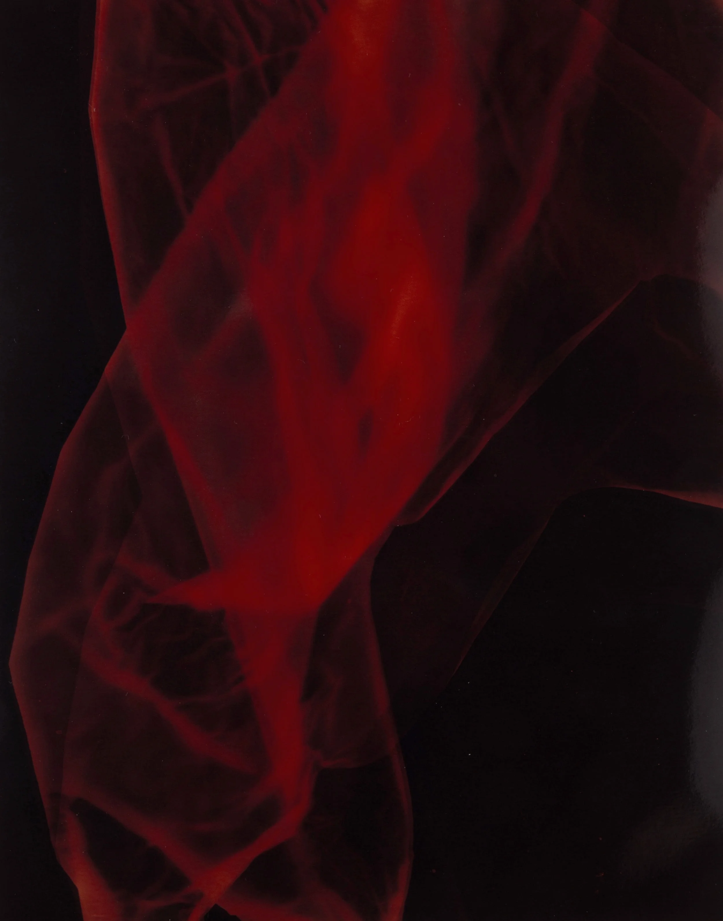 Conversations with a plasticbag 3